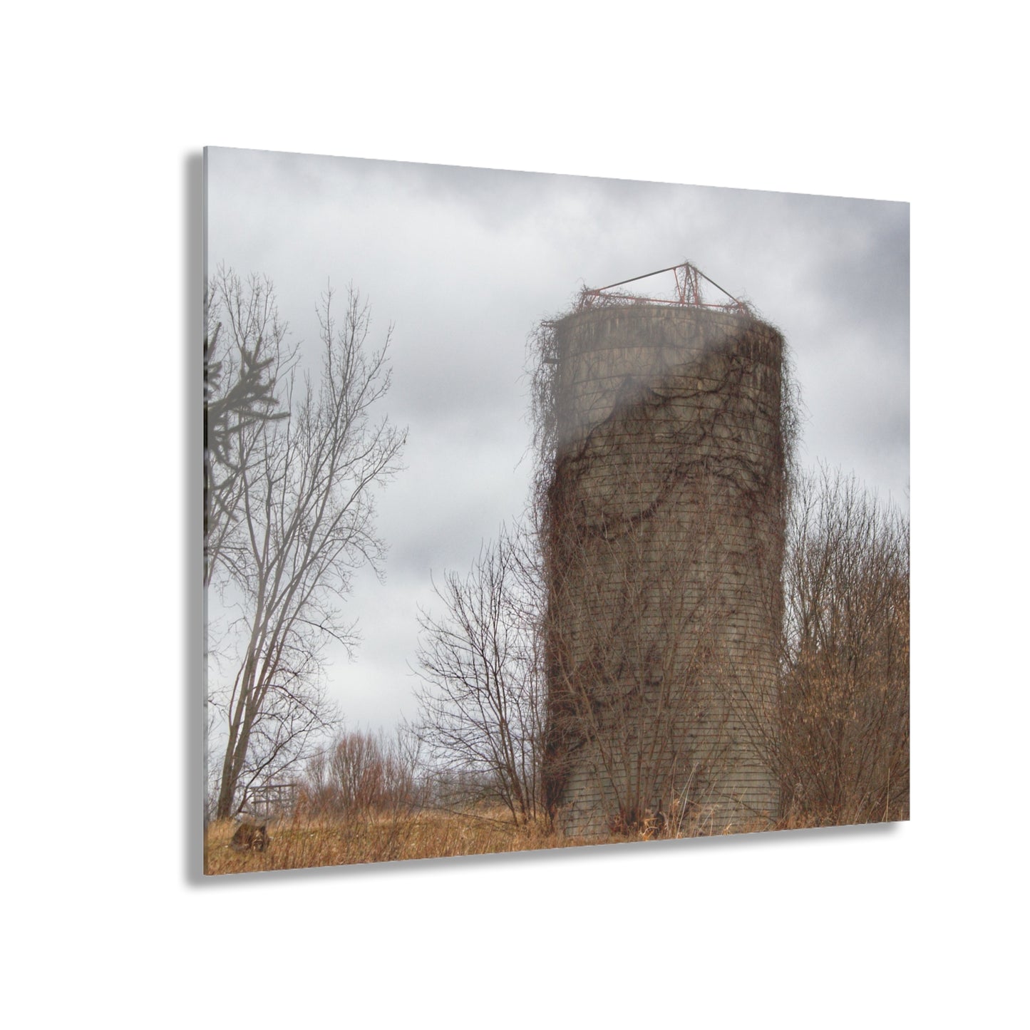 U R There Photography West Barnes Lake Silo Rustic Farmhouse Acrylic Wall Print