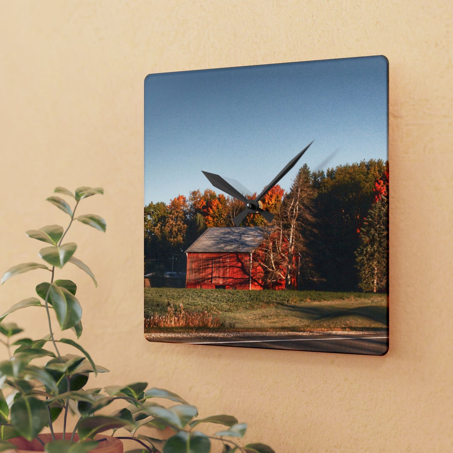 U R There Photography Tucked on Treasurer Road Rustic Farmhouse Acrylic Analog Wall Clock