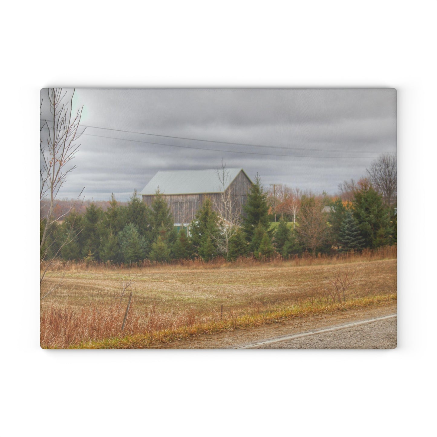 U R There Photography Burnside Grey Rustic Farmhouse Tempered-Glass Cutting Board