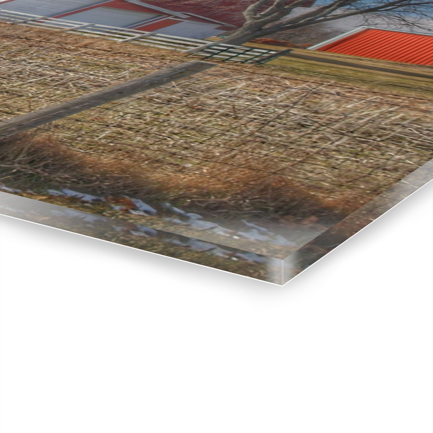 U R There Photography Clifford Road Red II Rustic Farmhouse Acrylic Wall Print