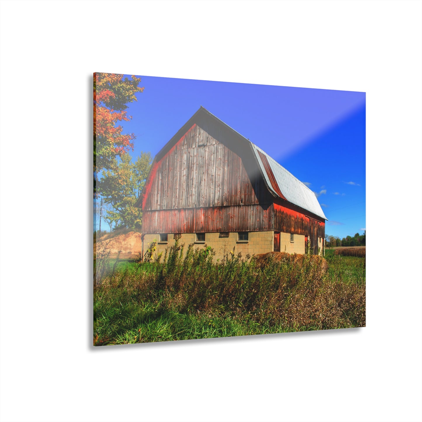 U R There Photography Byington Road Red II Rustic Farmhouse Acrylic Wall Print