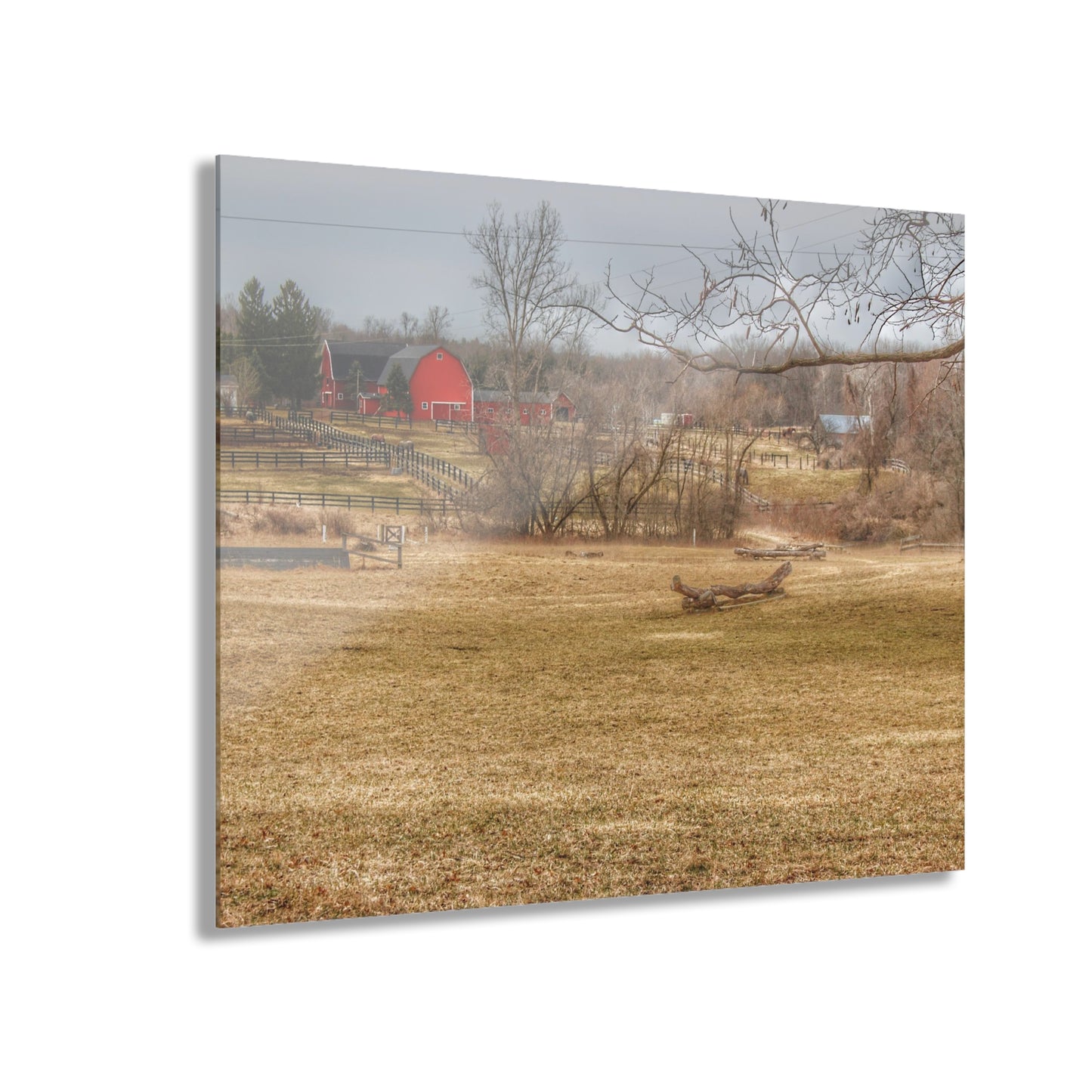 U R There Photography Beyond the Trees on Rock Valley Road Rustic Farmhouse Acrylic Wall Print