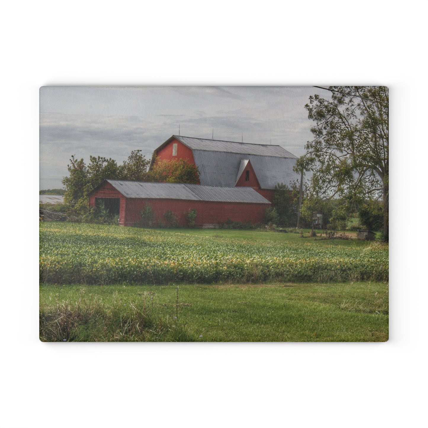 U R There Photography West Dodge Road Reds Rustic Farmhouse Tempered-Glass Cutting Board