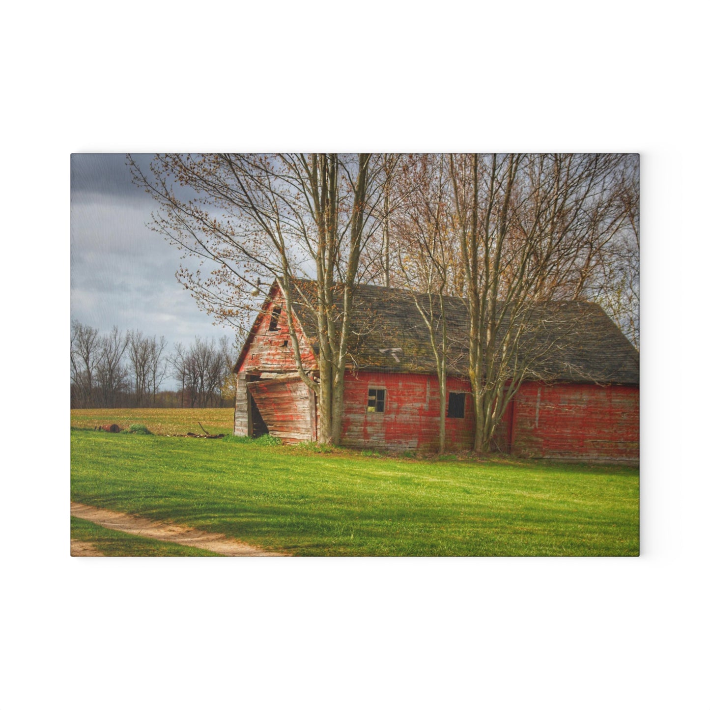 U R There Photography Centerline Shack Rustic Farmhouse Tempered-Glass Cutting Board