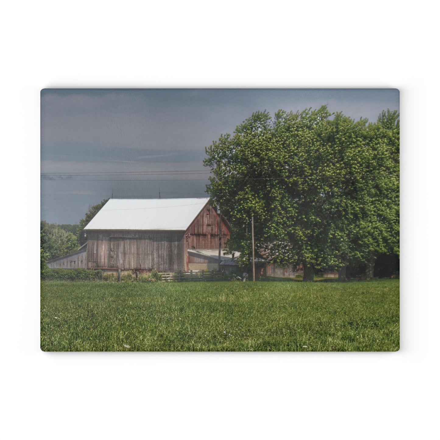 U R There Photography Castle Road Cow Barn III Rustic Farmhouse Tempered-Glass Cutting Board