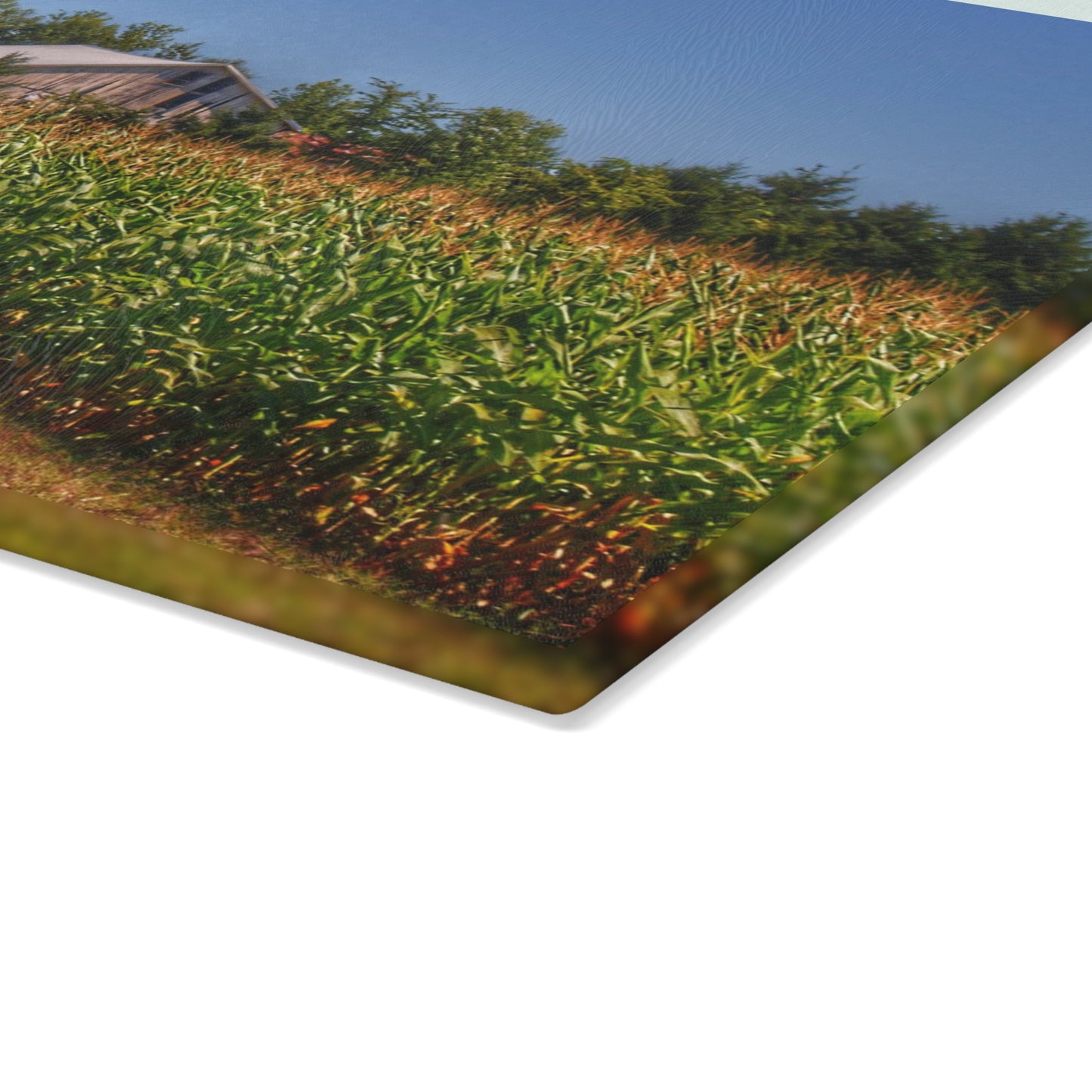 U R There Photography Beyond the Corn on Birch Run Road Rustic Farmhouse Tempered-Glass Cutting Board