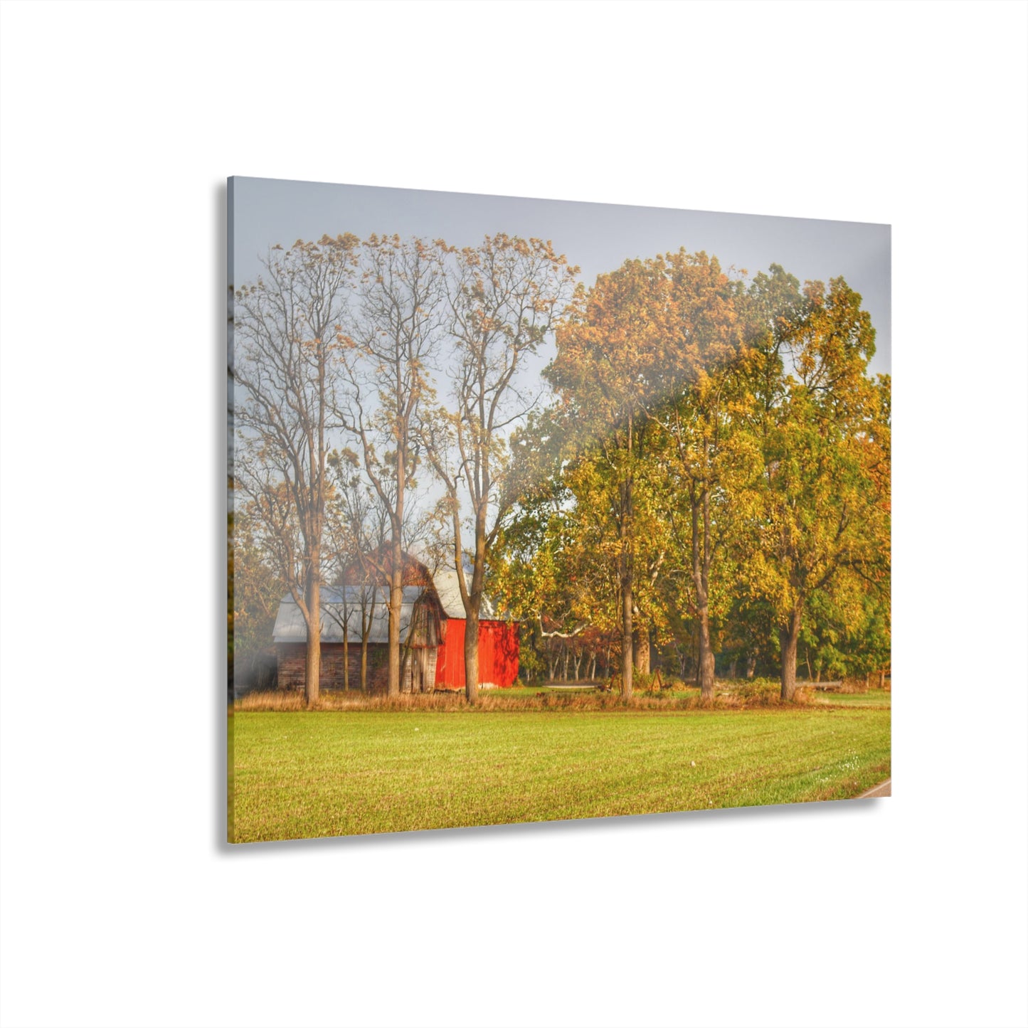 U R There Photography Barkley Road Red II Rustic Farmhouse Acrylic Wall Print