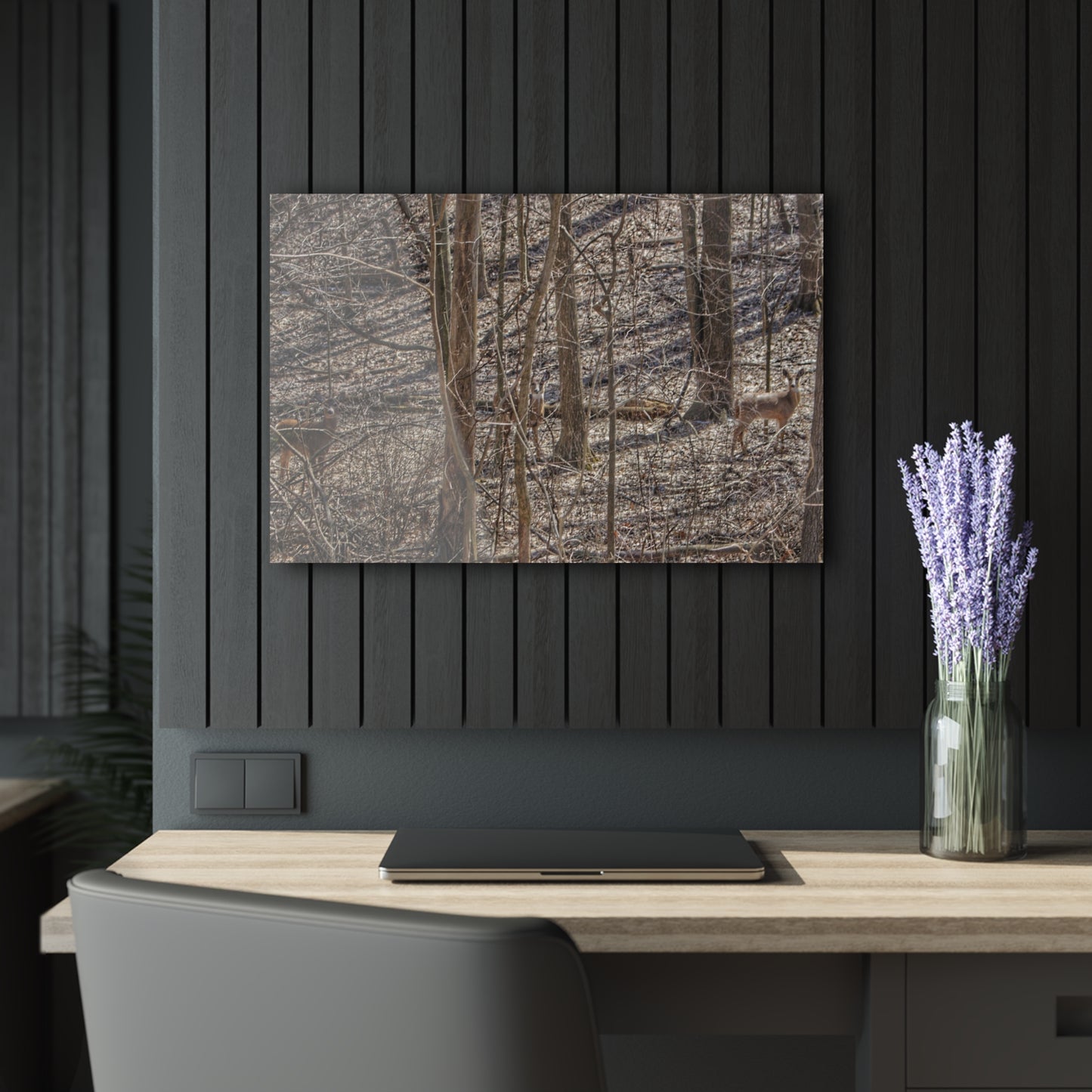 U R There Photography Three Does of Dryden Rustic Farmhouse Acrylic Wall Print