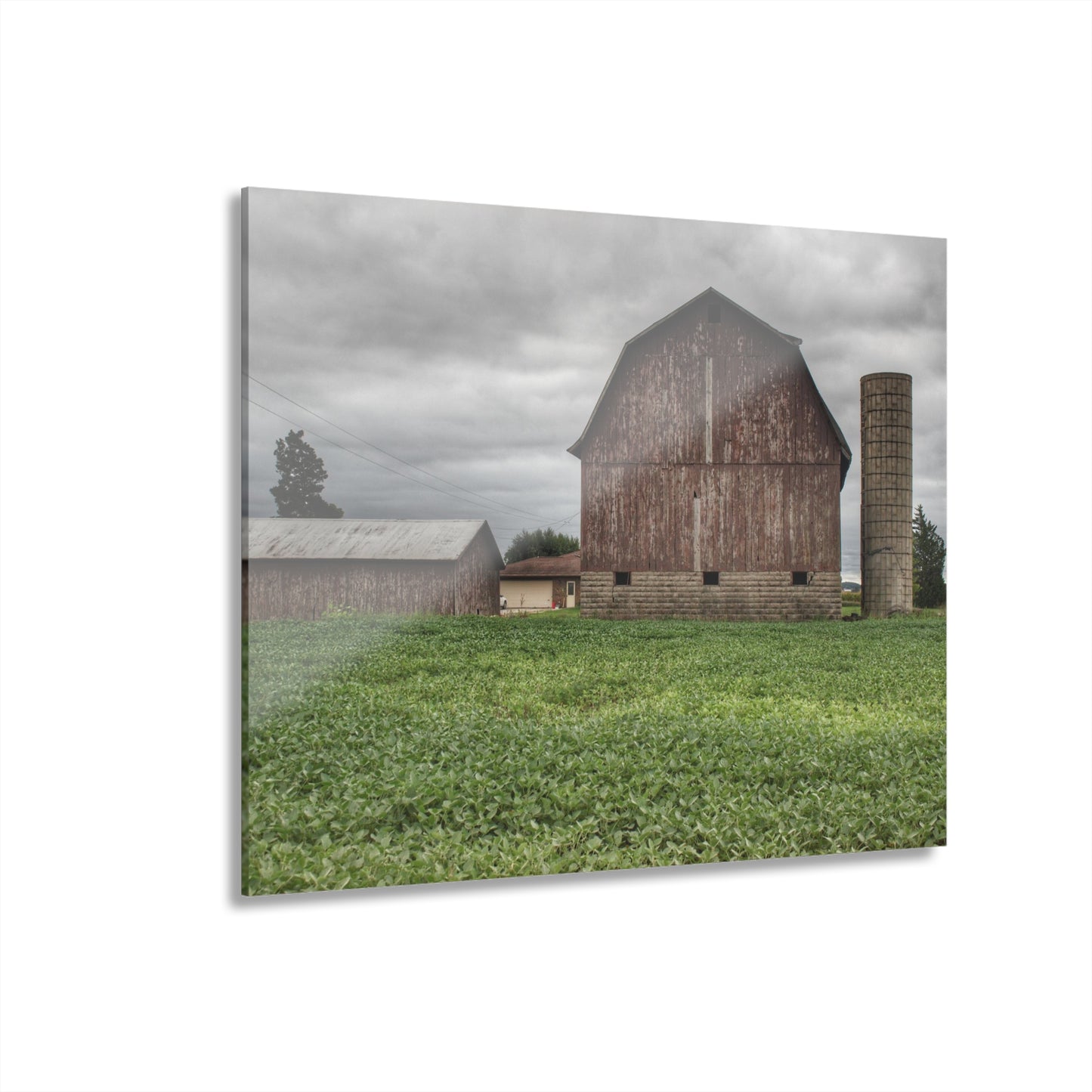 U R There Photography Van Geisen Road Grey Rustic Farmhouse Acrylic Wall Print