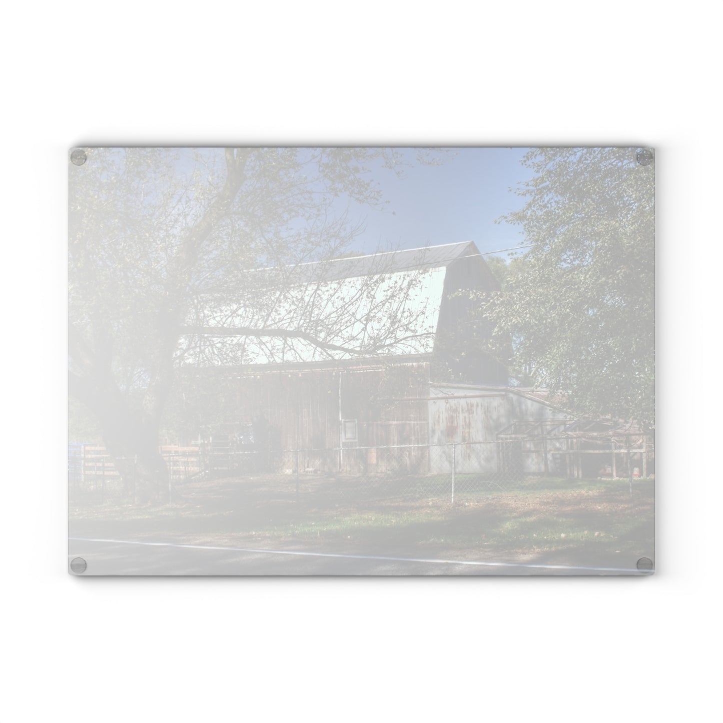 U R There Photography Birch Run Road Grey Rustic Farmhouse Tempered-Glass Cutting Board