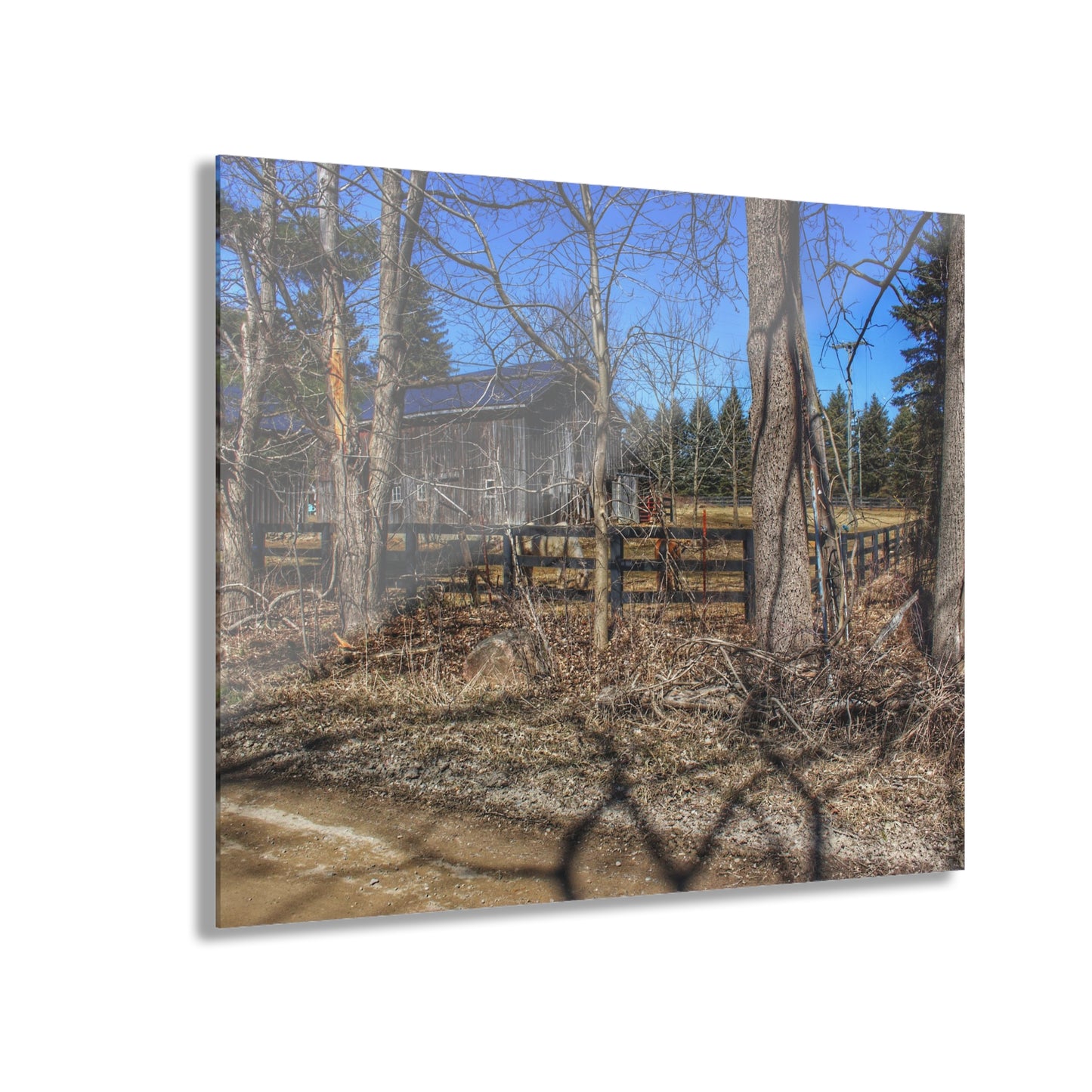 U R There Photography Brewer Road Grey Rustic Farmhouse Acrylic Wall Print