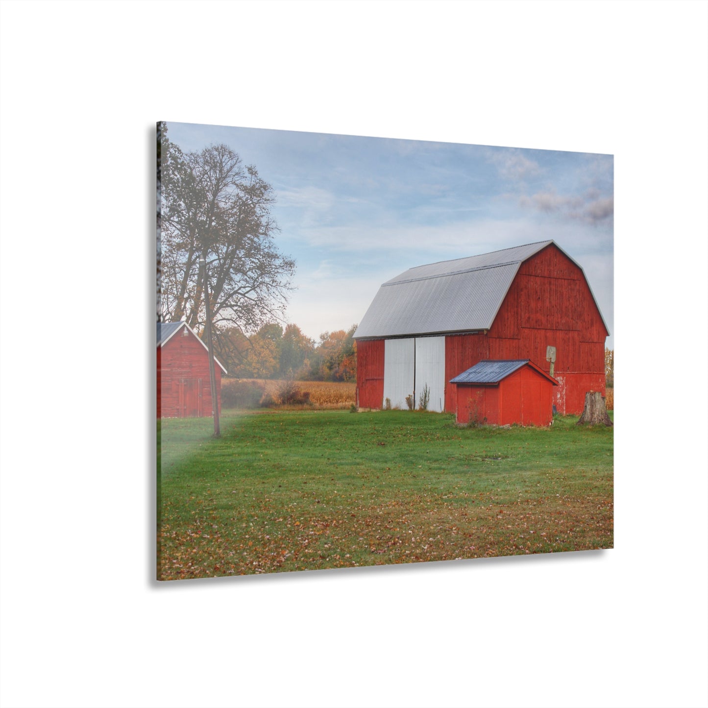 U R There Photography Ruth Reds Rustic Farmhouse Acrylic Wall Print