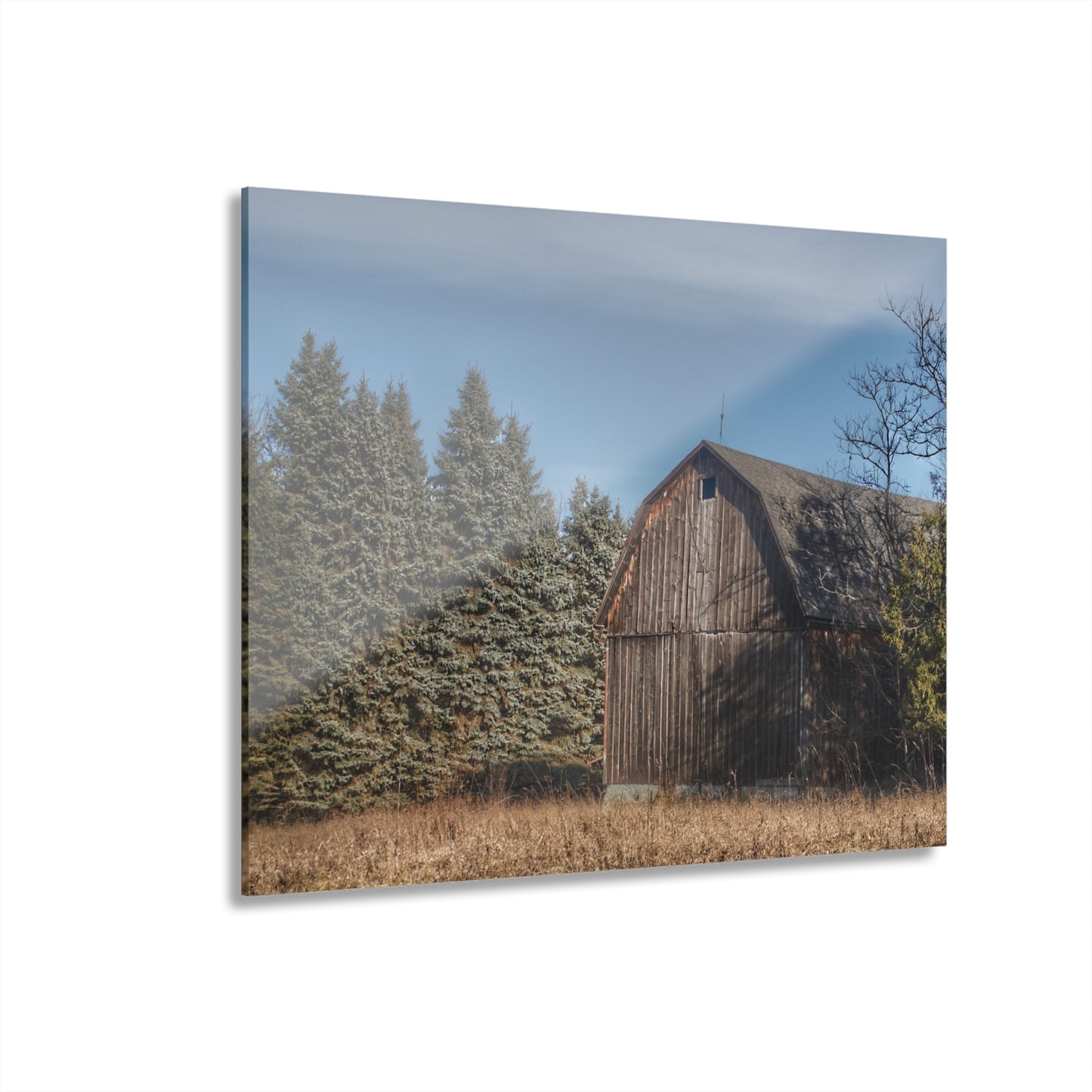 U R There Photography Washburn Old Grey Rustic Farmhouse Acrylic Wall Print