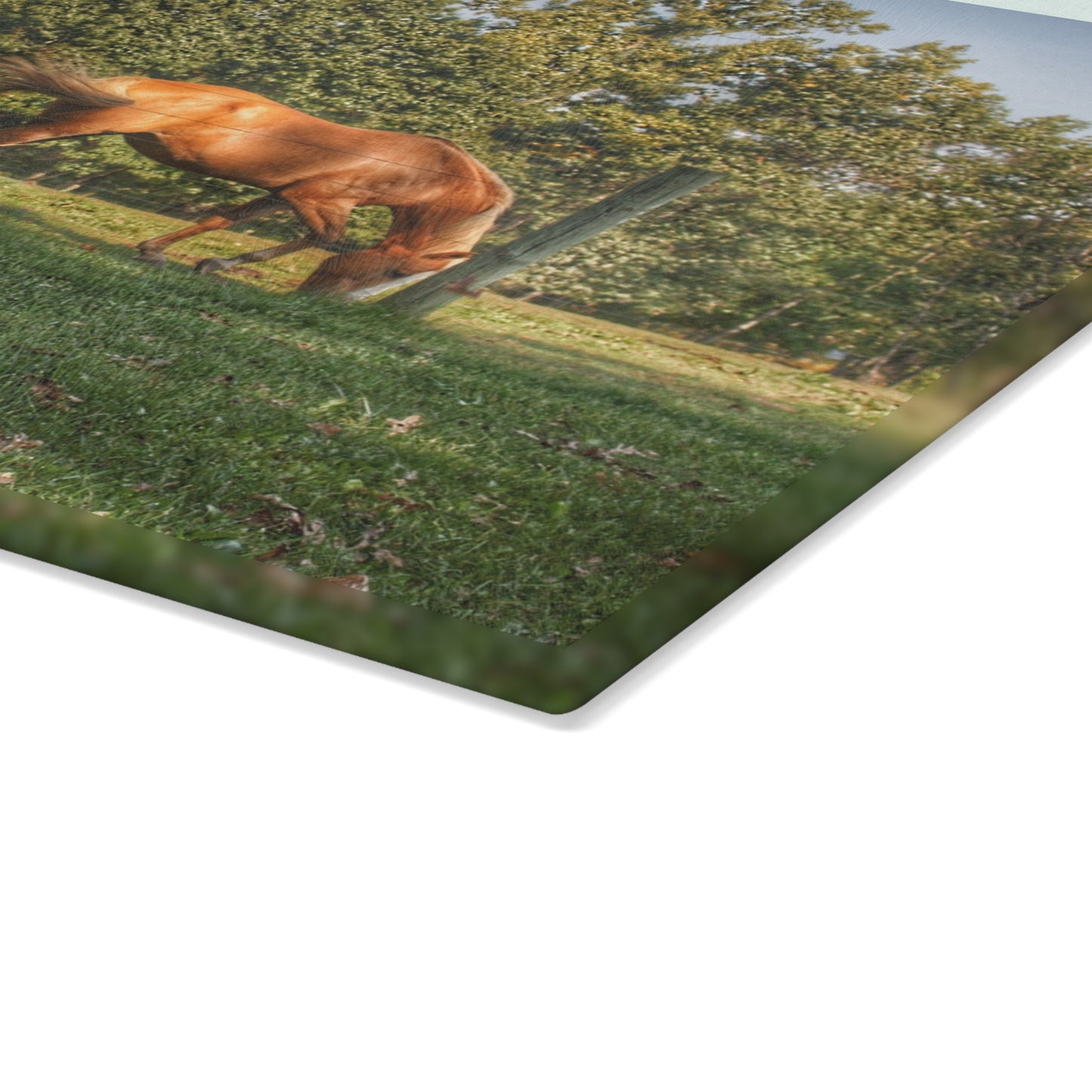 U R There Photography Caramel Horses Rustic Farmhouse Tempered-Glass Cutting Board