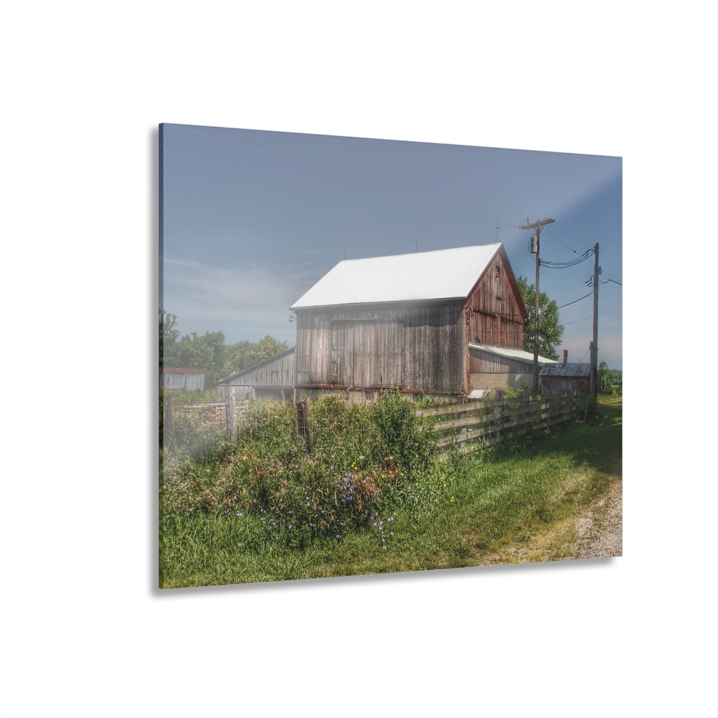 U R There Photography Castle Road Cow Barn I Rustic Farmhouse Acrylic Wall Print