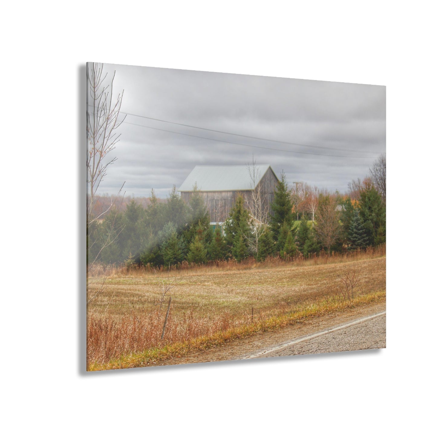 U R There Photography Burnside Grey Rustic Farmhouse Acrylic Wall Print