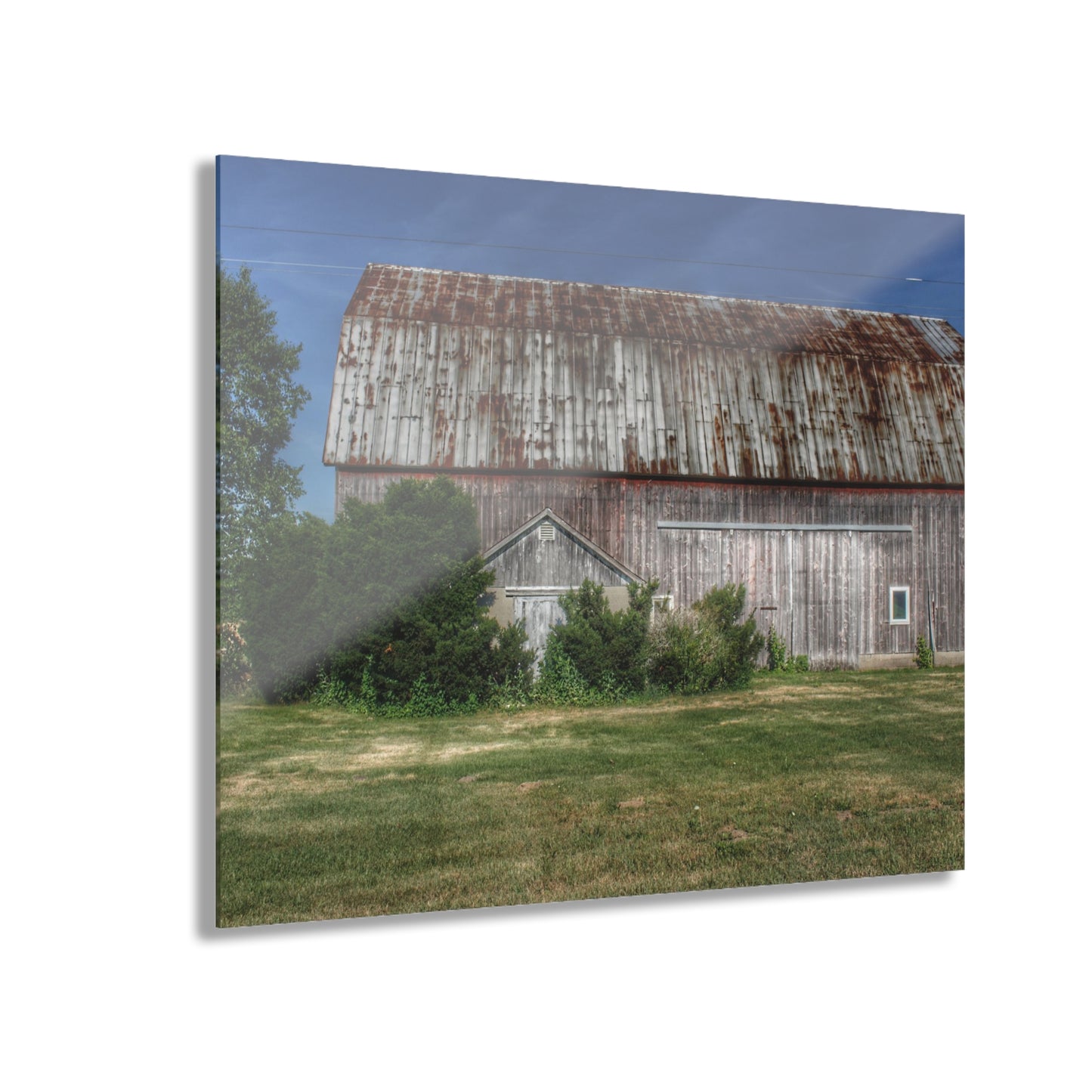 U R There Photography Barkley Road Red in Summer I Rustic Farmhouse Acrylic Wall Print