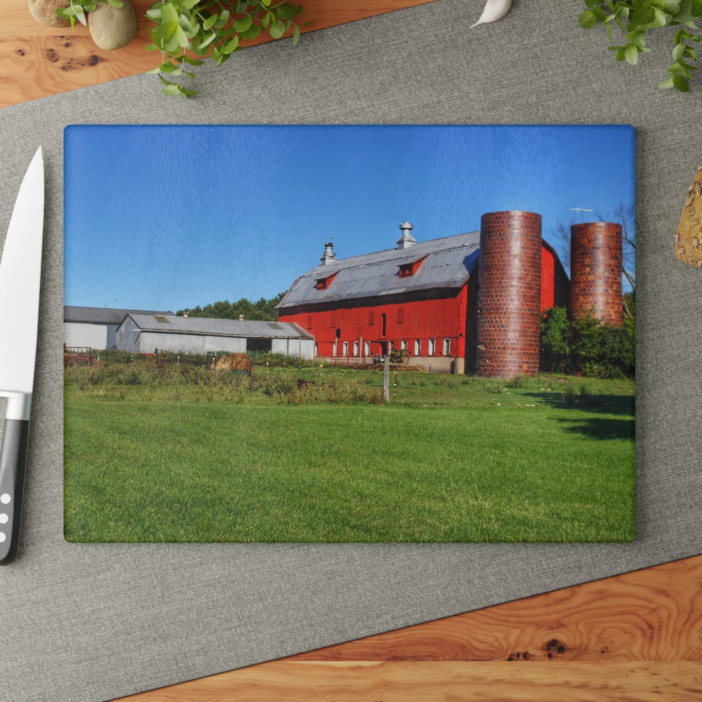 U R There Photography Baldwin Red II Rustic Farmhouse Tempered-Glass Cutting Board