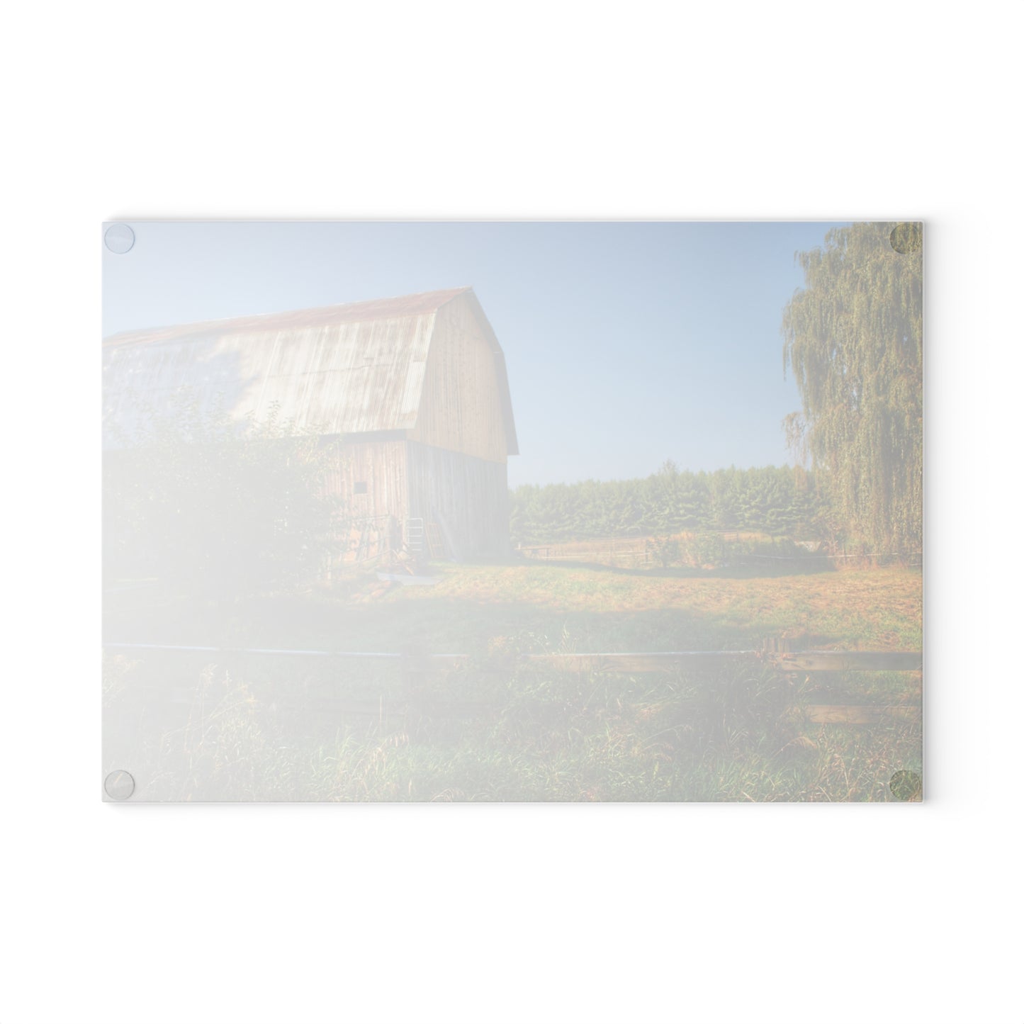 U R There Photography Snover Golden Grey Rustic Farmhouse Tempered-Glass Cutting Board