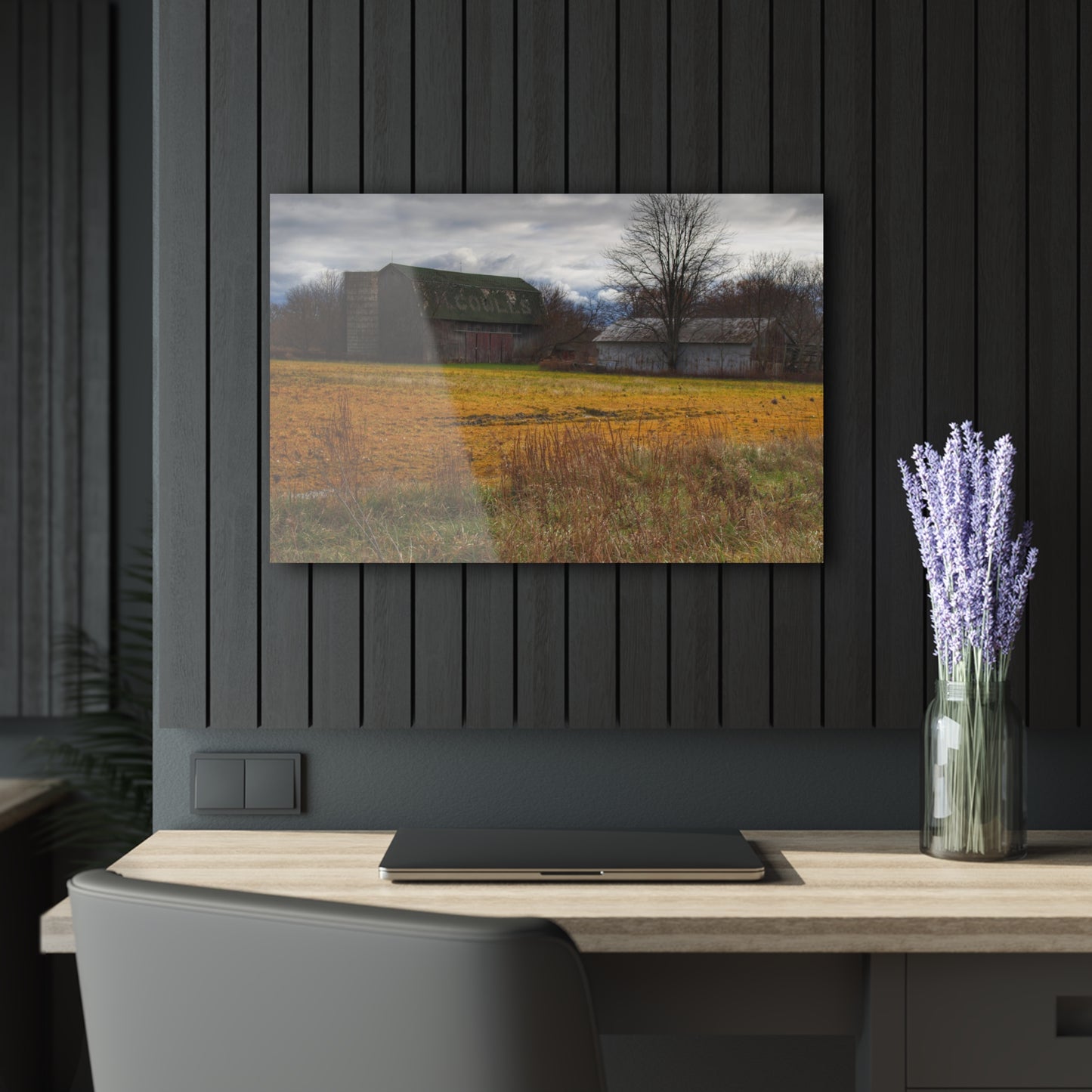 U R There Photography Fields of Golden Clover Rustic Farmhouse Acrylic Wall Print