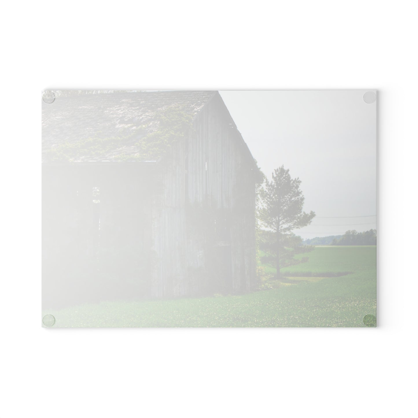 U R There Photography Caro Road Twin Grey I Rustic Farmhouse Tempered-Glass Cutting Board