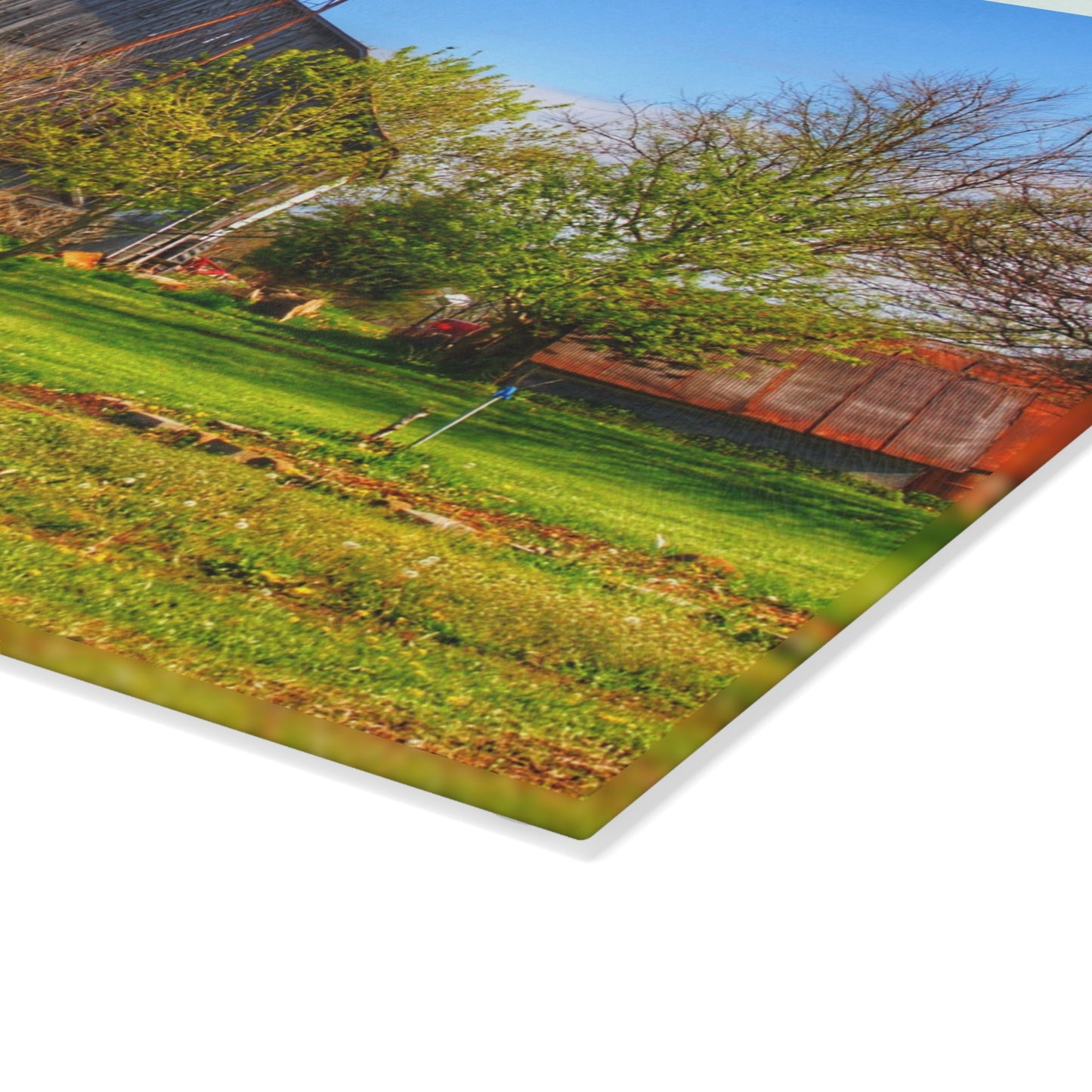 U R There Photography Sohn Road Greys Rustic Farmhouse Tempered-Glass Cutting Board