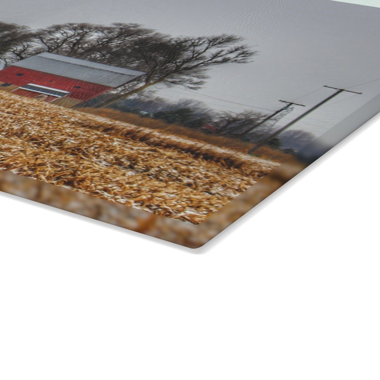 U R There Photography Shoemaker Road Winter Reds II Rustic Farmhouse Tempered-Glass Cutting Board