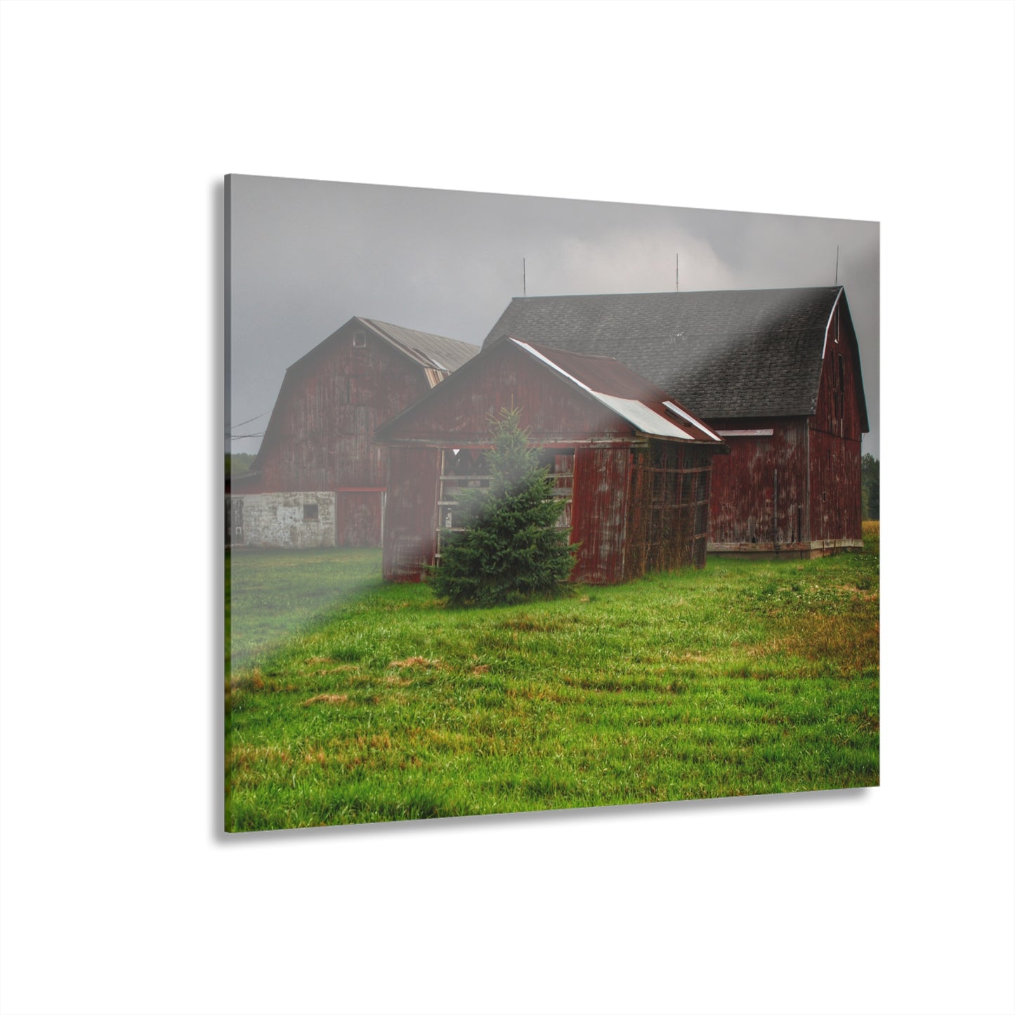 U R There Photography Winslow Road Reds Rustic Farmhouse Acrylic Wall Print