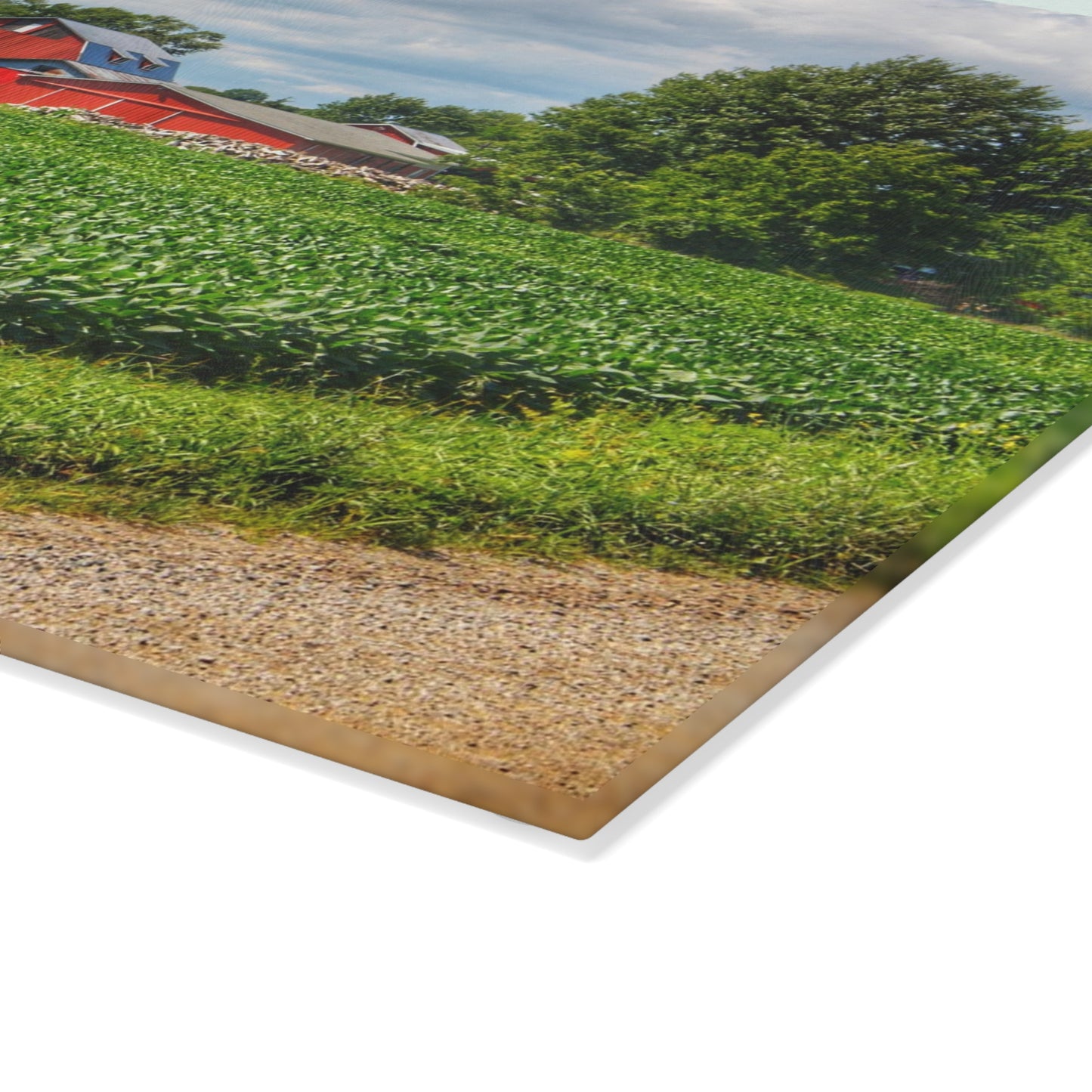 U R There Photography Block Road Reds Rustic Farmhouse Tempered-Glass Cutting Board
