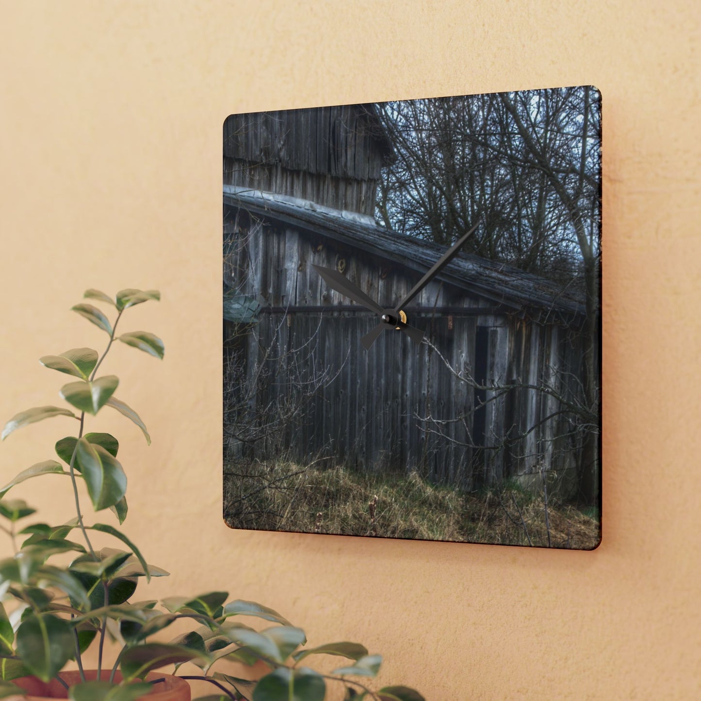 U R There Photography Rural Decay in Early Spring Rustic Farmhouse Acrylic Analog Wall Clock