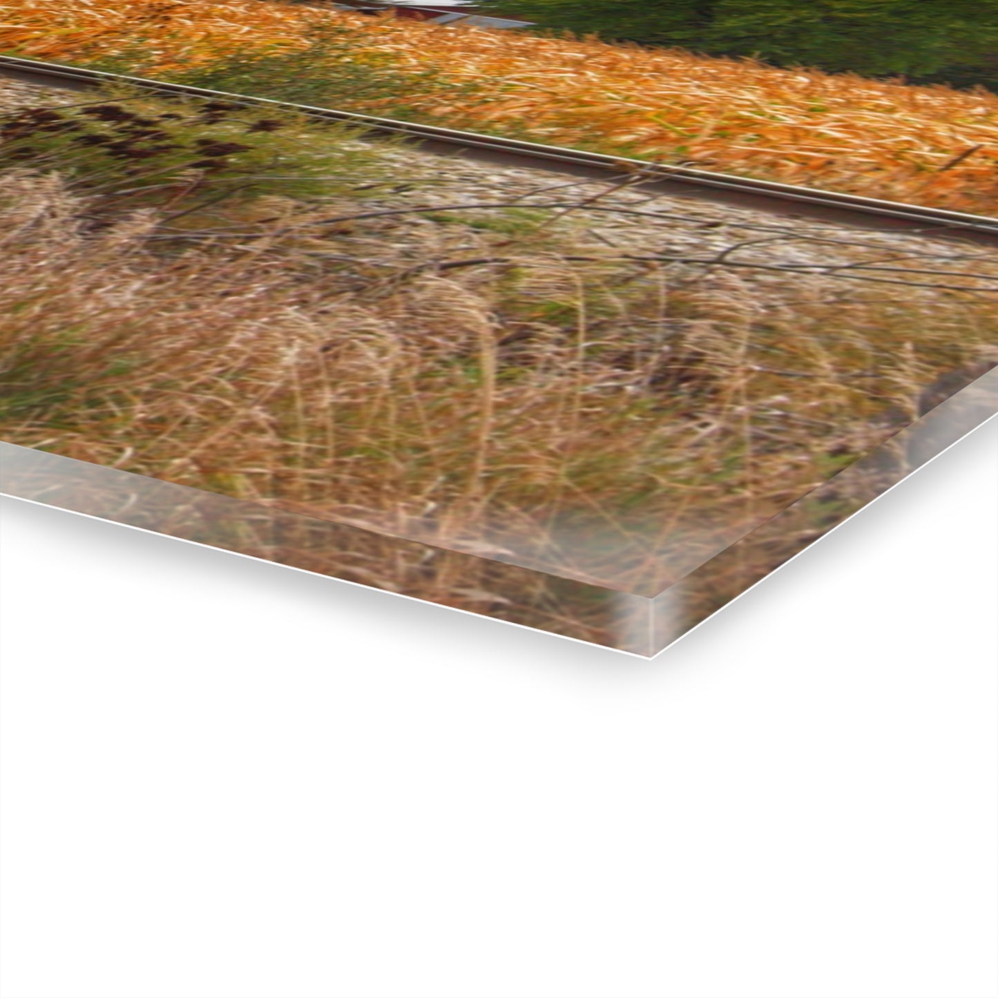U R There Photography Reese Old Grey Beyond the Tracks Rustic Farmhouse Acrylic Wall Print