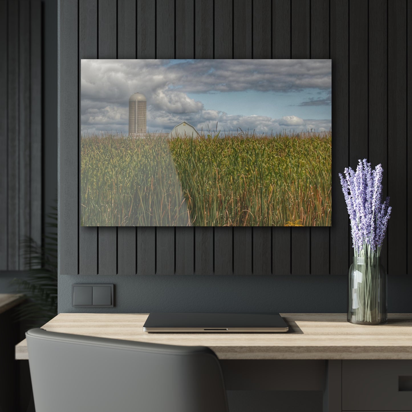 U R There Photography White Barn Overlooking Cornfield Rustic Farmhouse Acrylic Wall Print