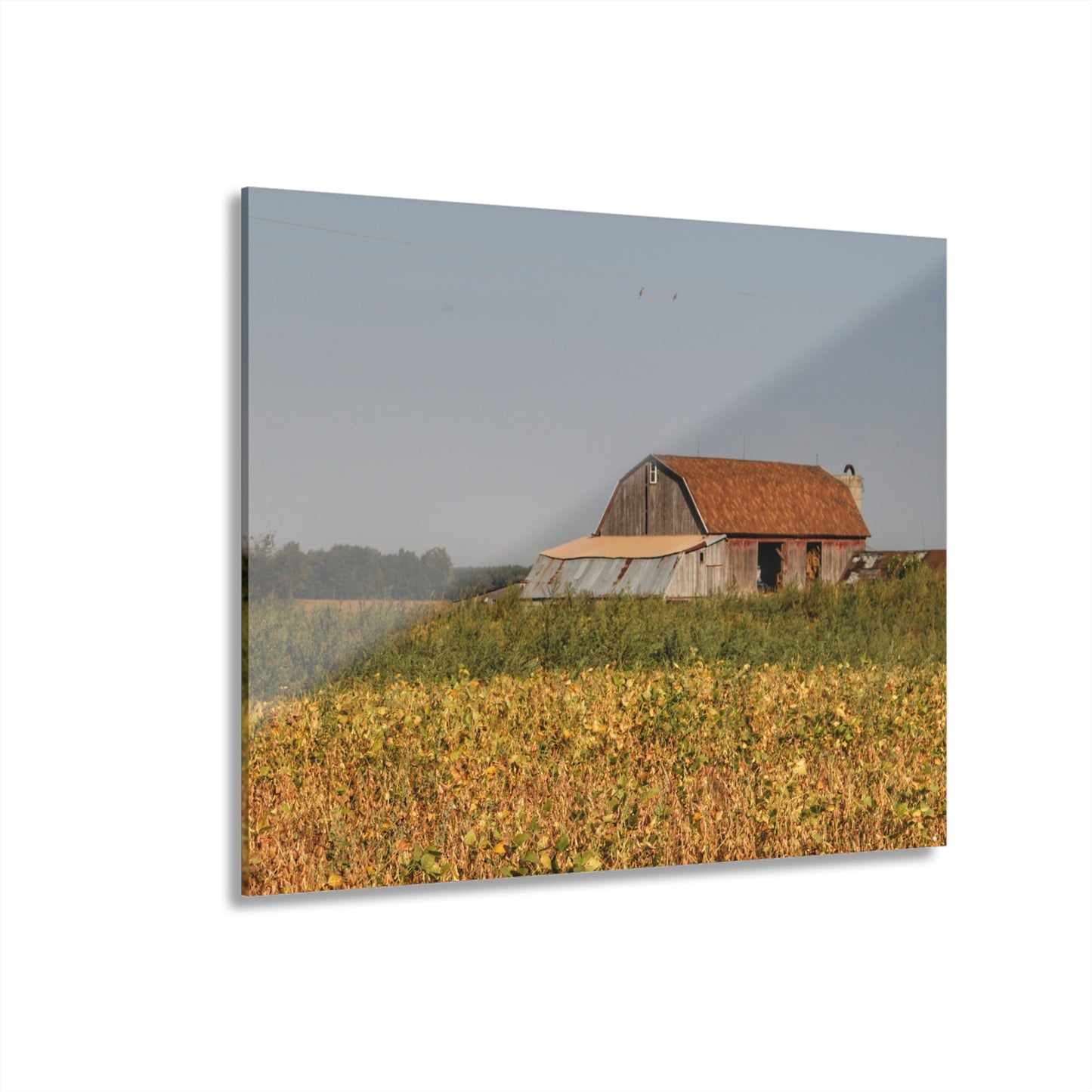 U R There Photography Slattery Road Saltbox Grey Rustic Farmhouse Acrylic Wall Print
