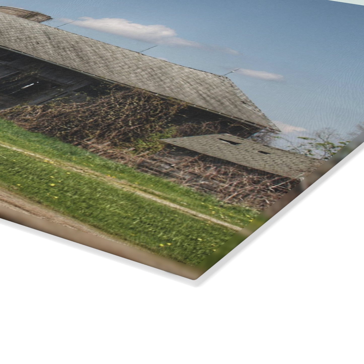 U R There Photography Wilder Road Grey II Rustic Farmhouse Tempered-Glass Cutting Board