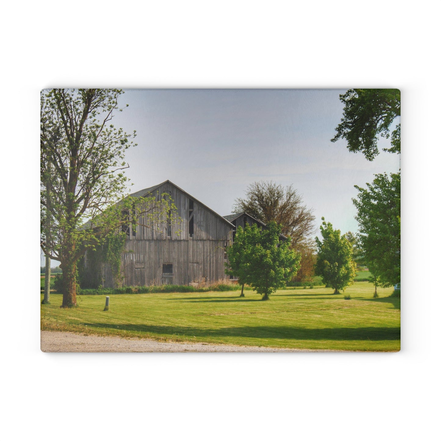 U R There Photography Caro Road Twin Greys II Rustic Farmhouse Tempered-Glass Cutting Board