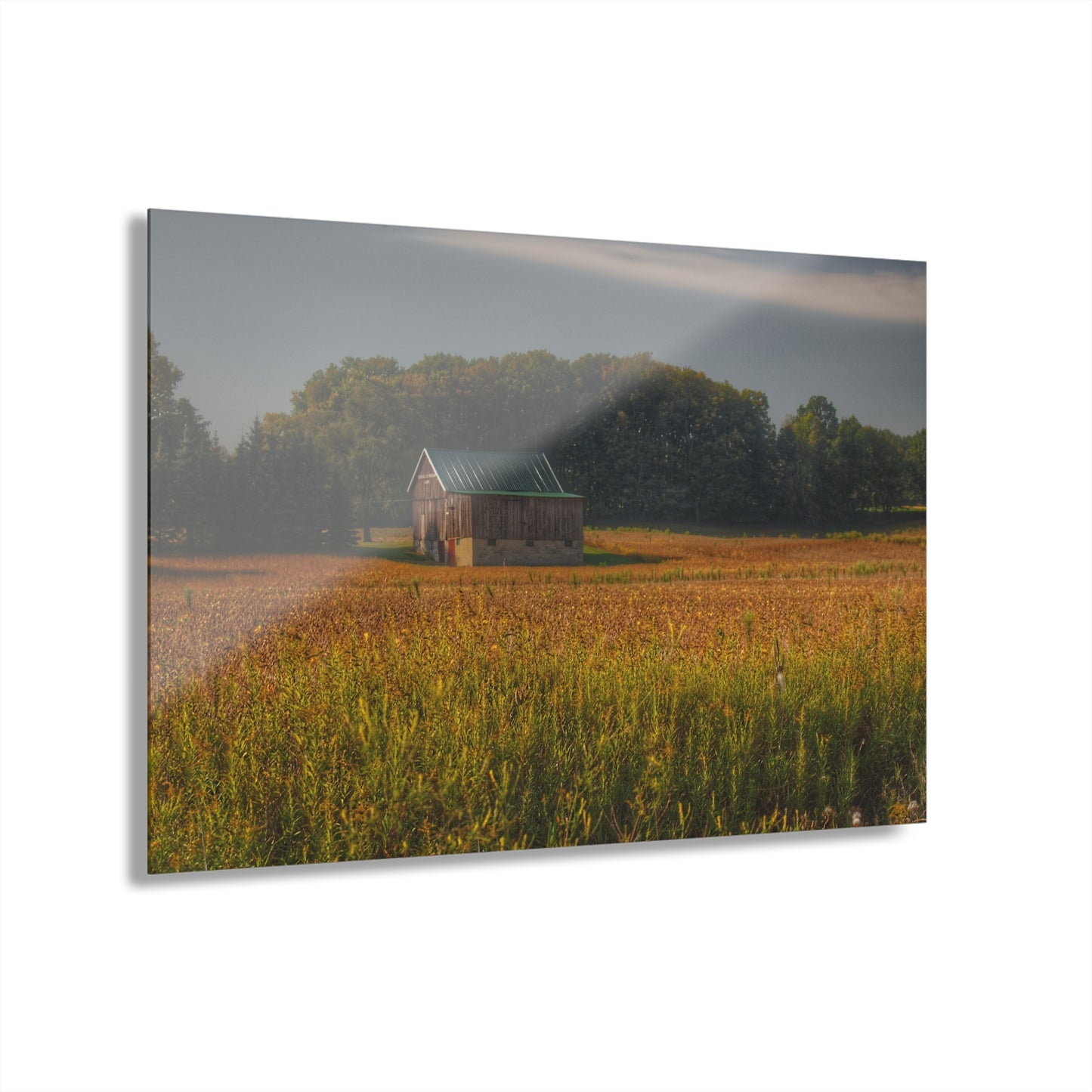 U R There Photography Snover Grey I Rustic Farmhouse Acrylic Wall Print