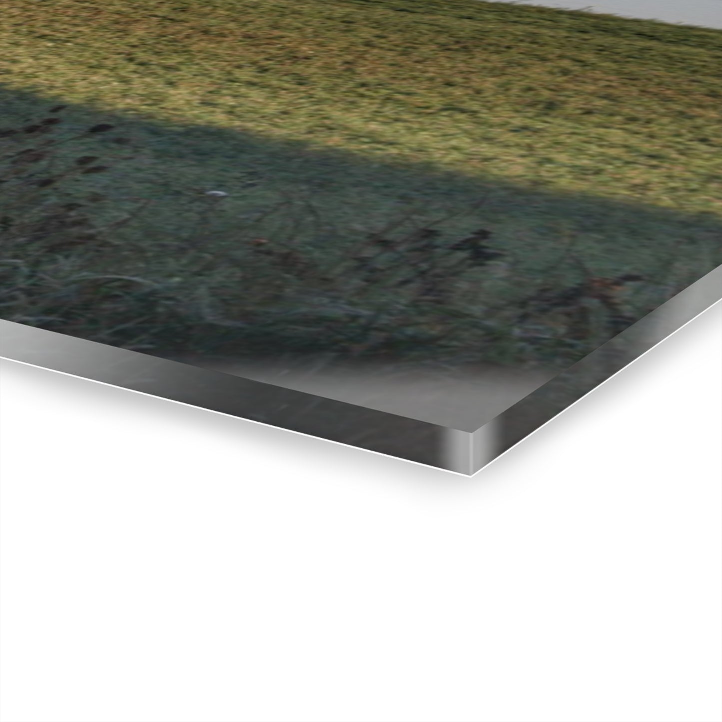 Rustic Farmhouse Wall Print Featuring Across the Field in Millington