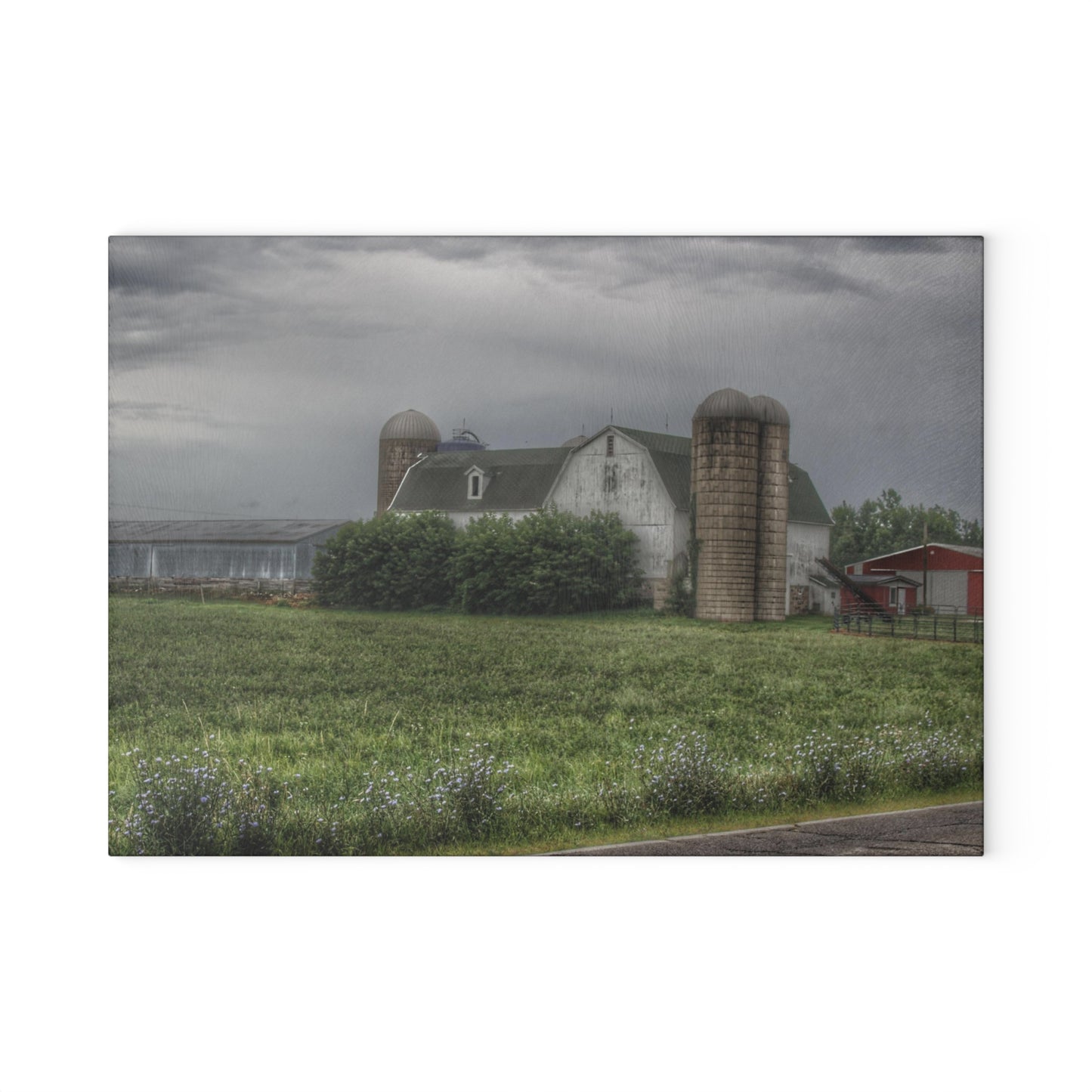 U R There Photography Clark Road White II Rustic Farmhouse Tempered-Glass Cutting Board
