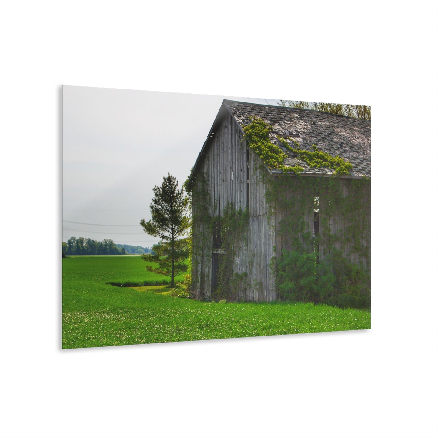 U R There Photography Caro Road Twin Grey I Rustic Farmhouse Acrylic Wall Print