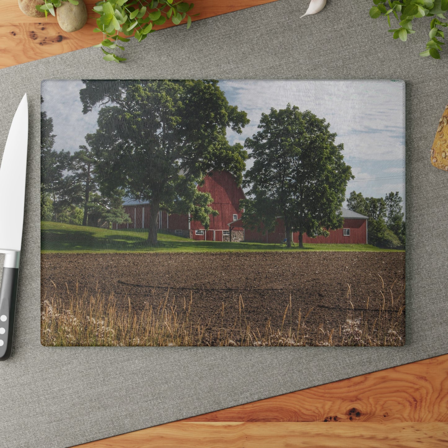 U R There Photography Catlin Road Red II Rustic Farmhouse Tempered-Glass Cutting Board