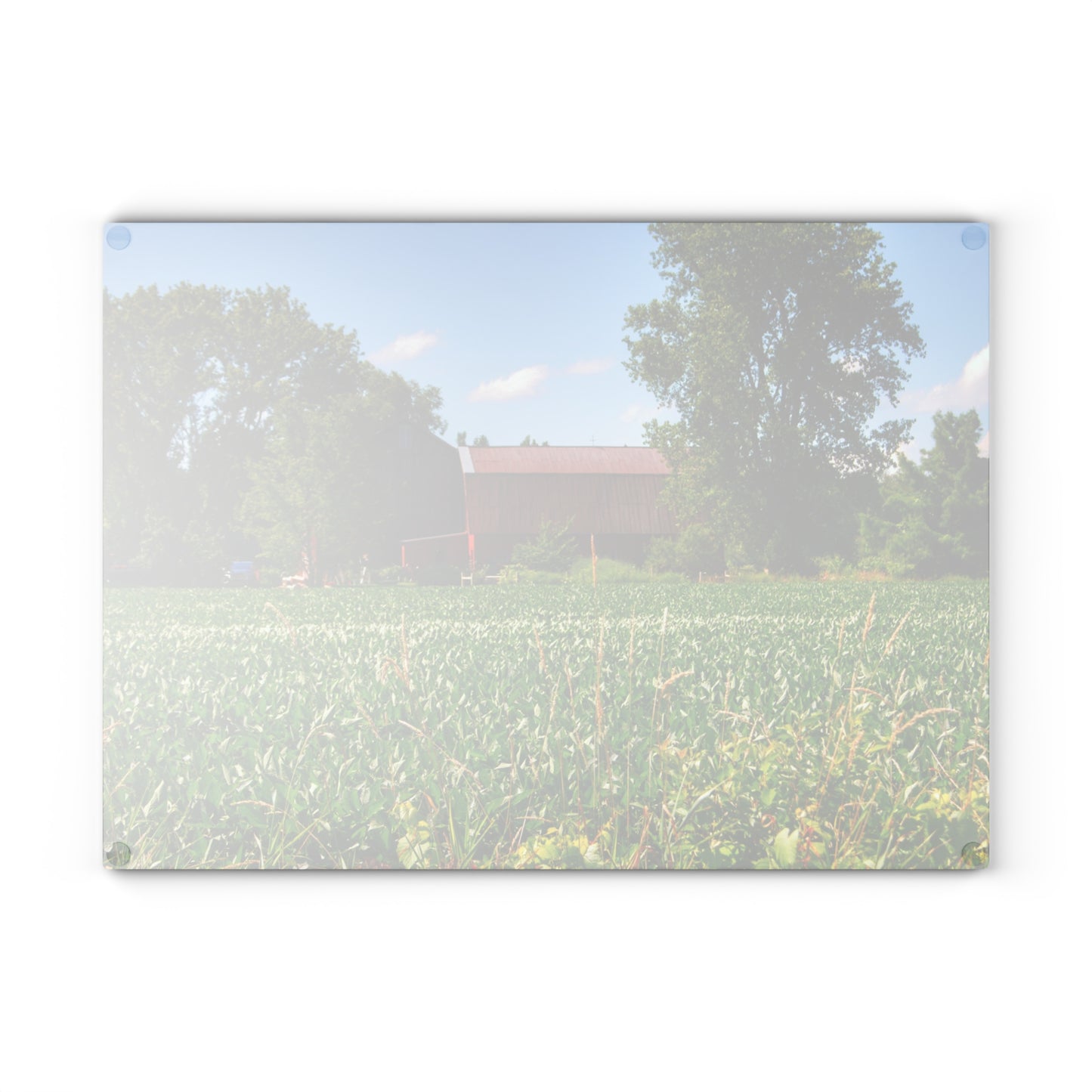 U R There Photography Canada Road Hidden Red Rustic Farmhouse Tempered-Glass Cutting Board