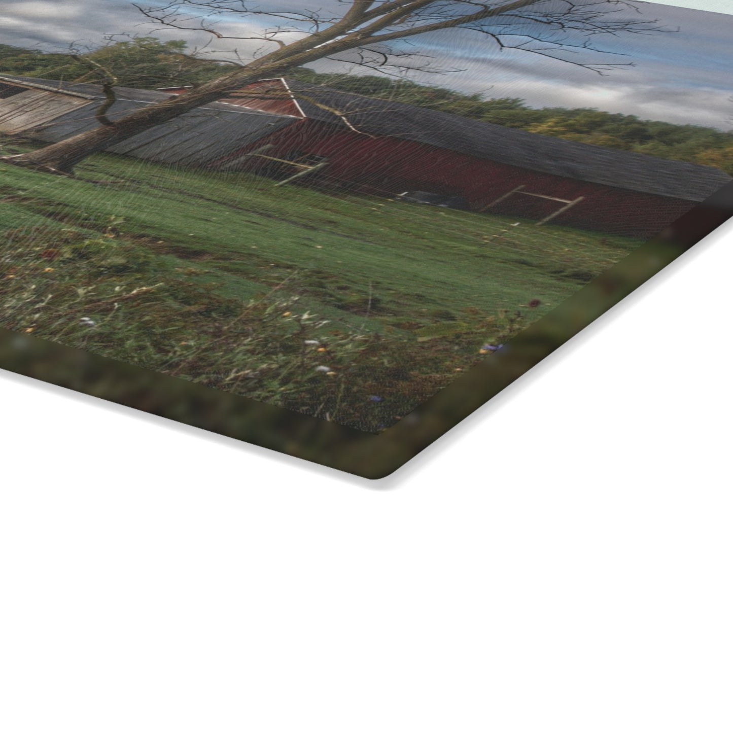 U R There Photography West Oregon Road Hidden Red IV Rustic Farmhouse Tempered-Glass Cutting Board