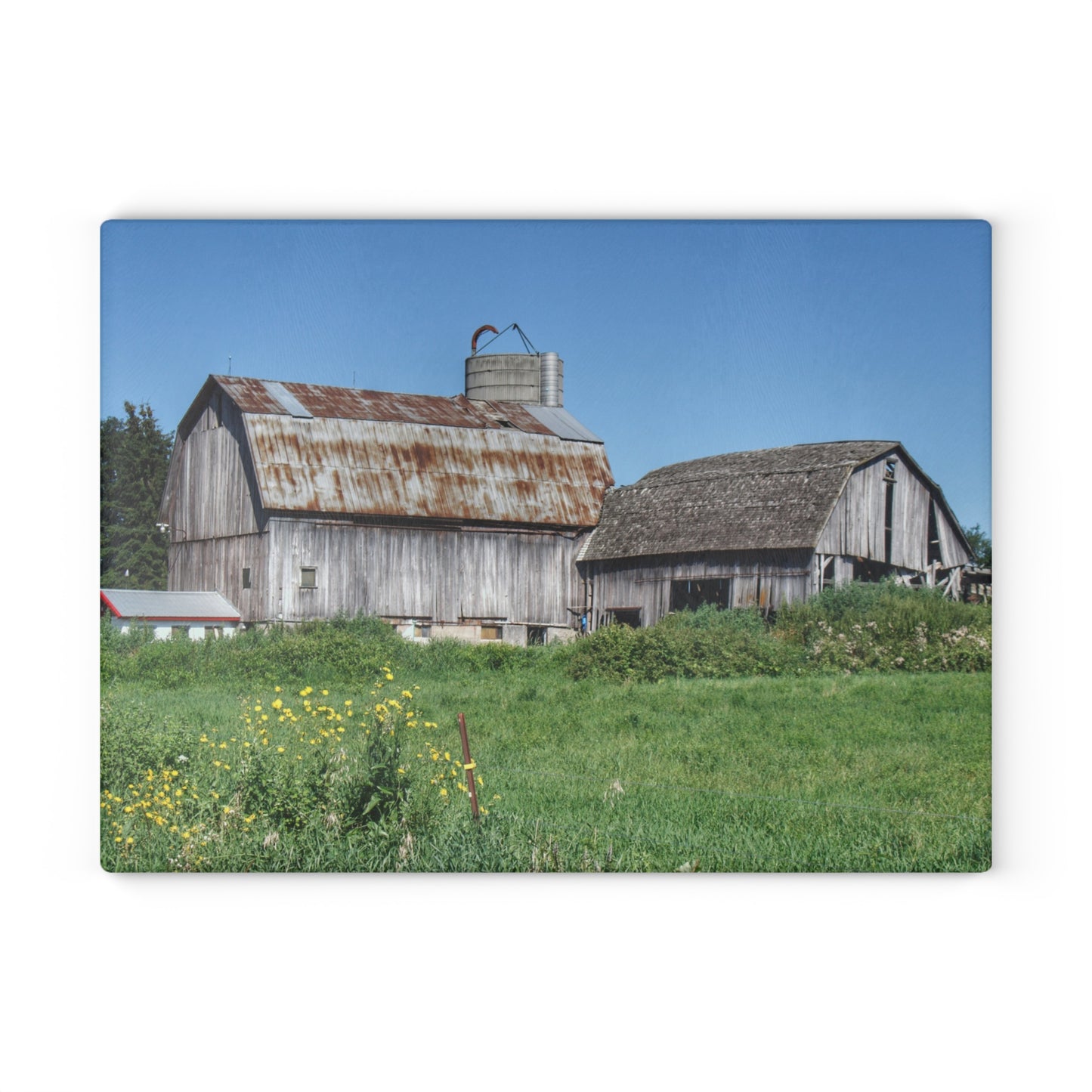 U R There Photography Rusted and Grey on Dodge Road Rustic Farmhouse Tempered-Glass Cutting Board