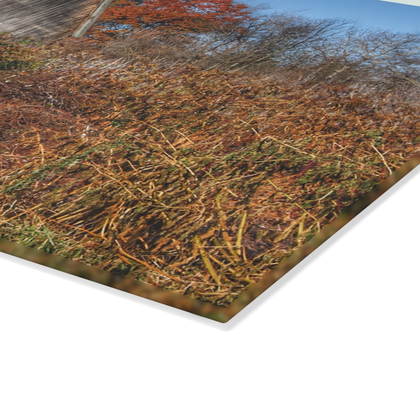 U R There Photography Vassar Road Hidden Grey II Rustic Farmhouse Tempered-Glass Cutting Board
