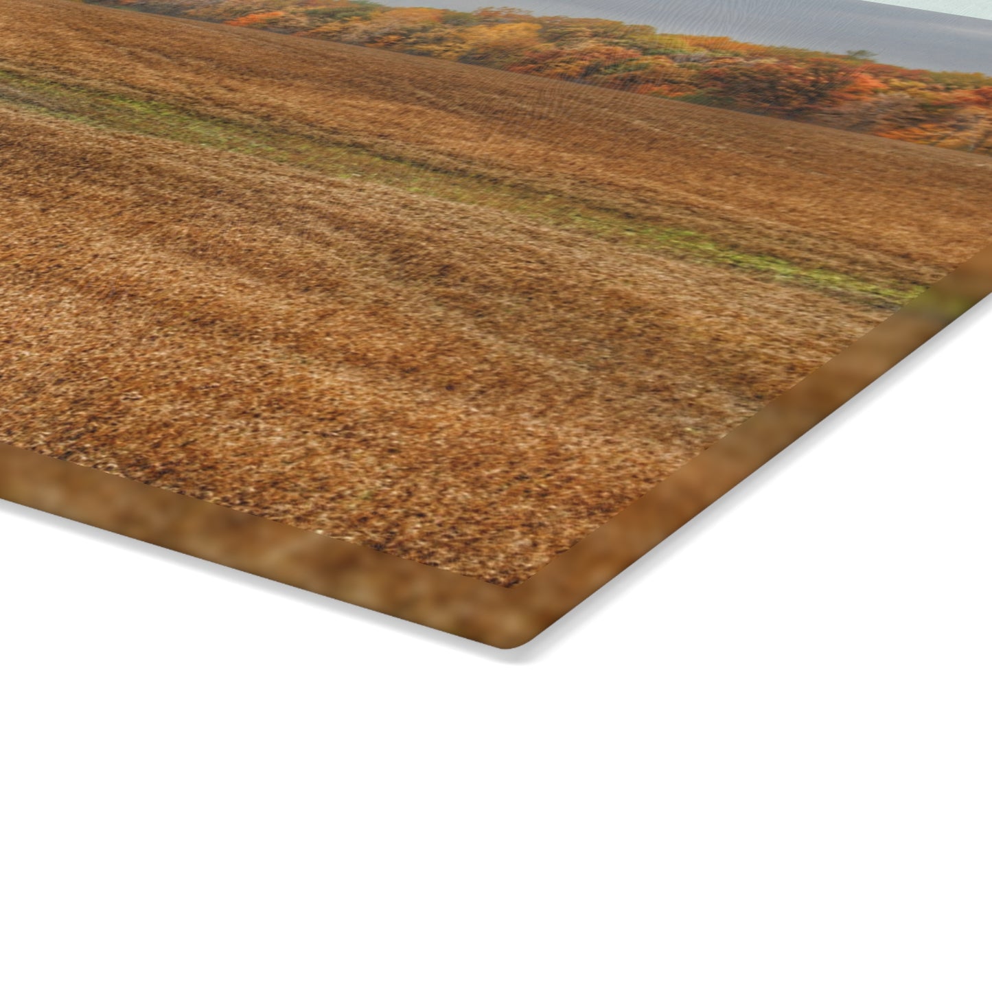 U R There Photography Colors of Fall on Lippincott Road Rustic Farmhouse Tempered-Glass Cutting Board