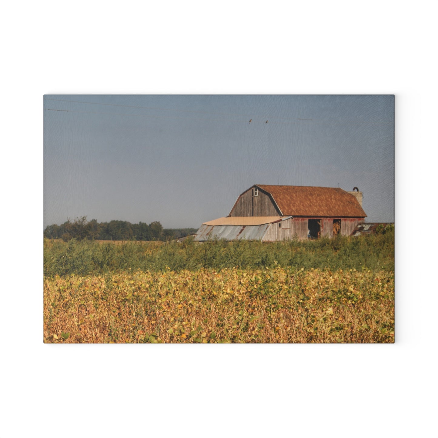 U R There Photography Slattery Road Saltbox Grey Rustic Farmhouse Tempered-Glass Cutting Board