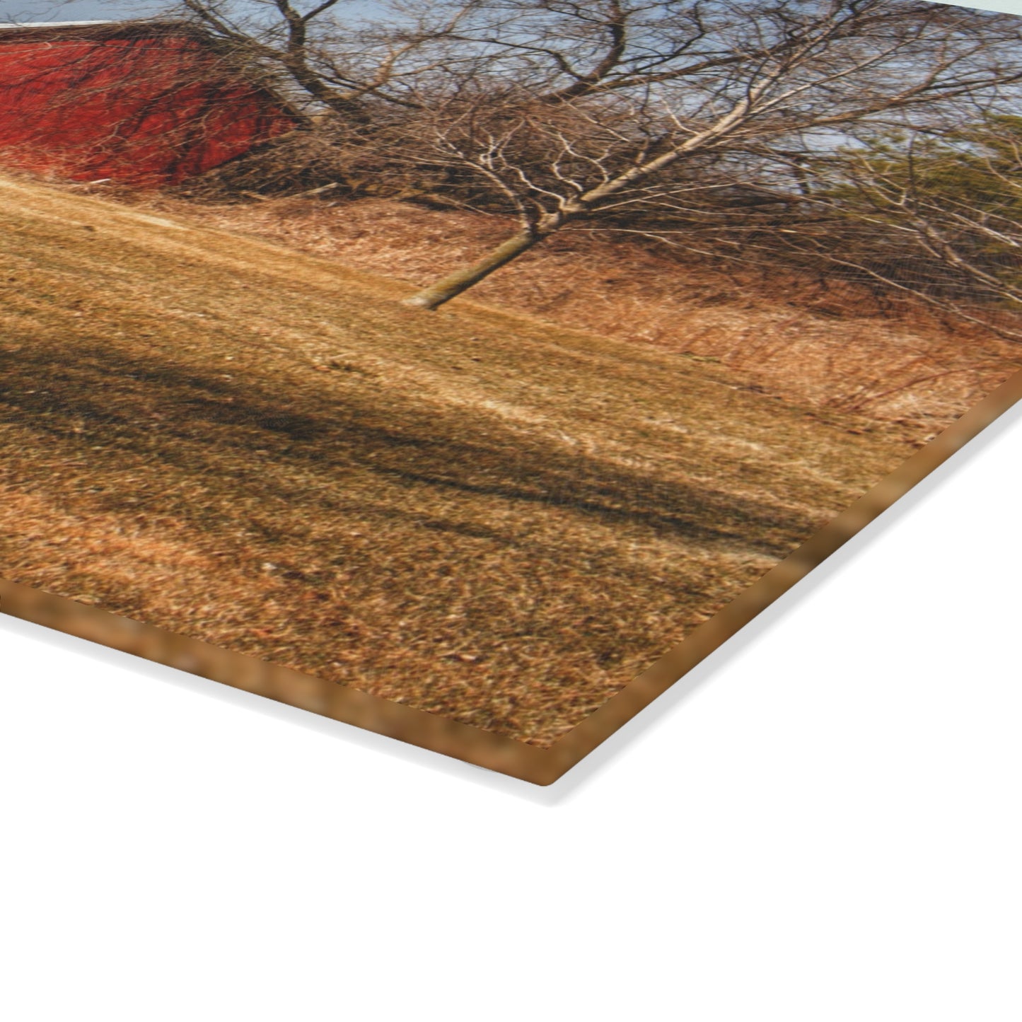 U R There Photography Romeo Plank Little Red Rustic Farmhouse Tempered-Glass Cutting Board