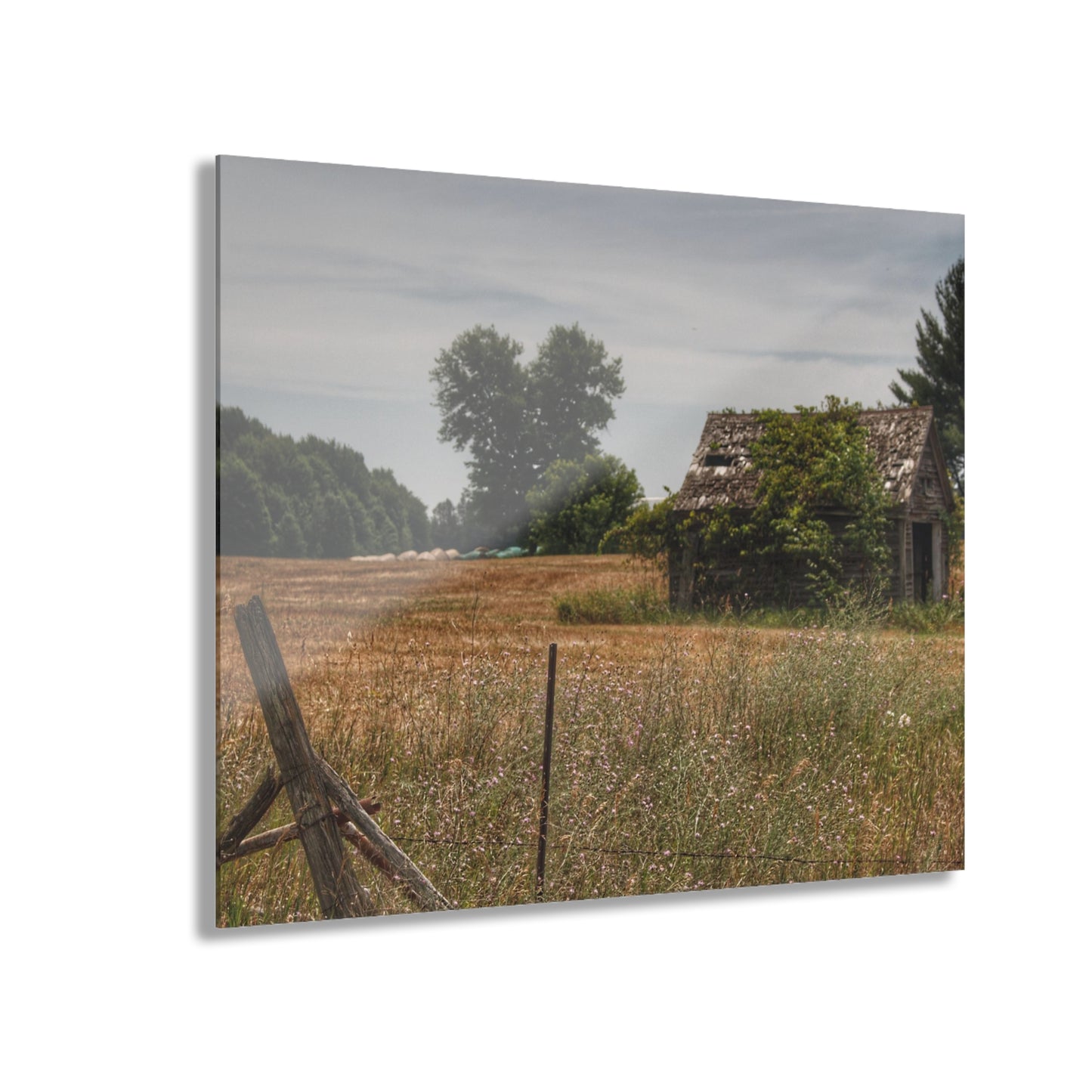 U R There Photography U R There Photography Waterman Road Shack Beyond the Fence Rustic Farmhouse Acrylic Wall Print