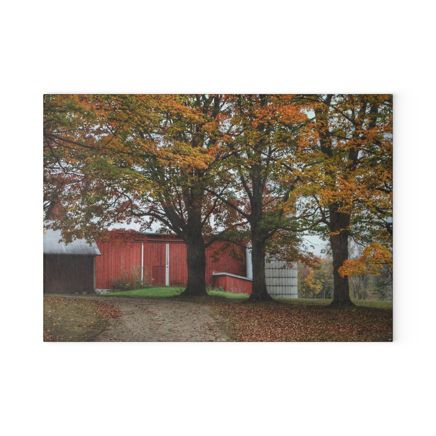 U R There Photography Brown Road Red in the Fall Rustic Farmhouse Tempered-Glass Cutting Board