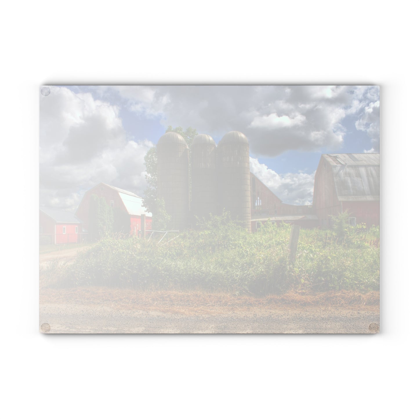 U R There Photography Shelby Red II Rustic Farmhouse Tempered-Glass Cutting Board